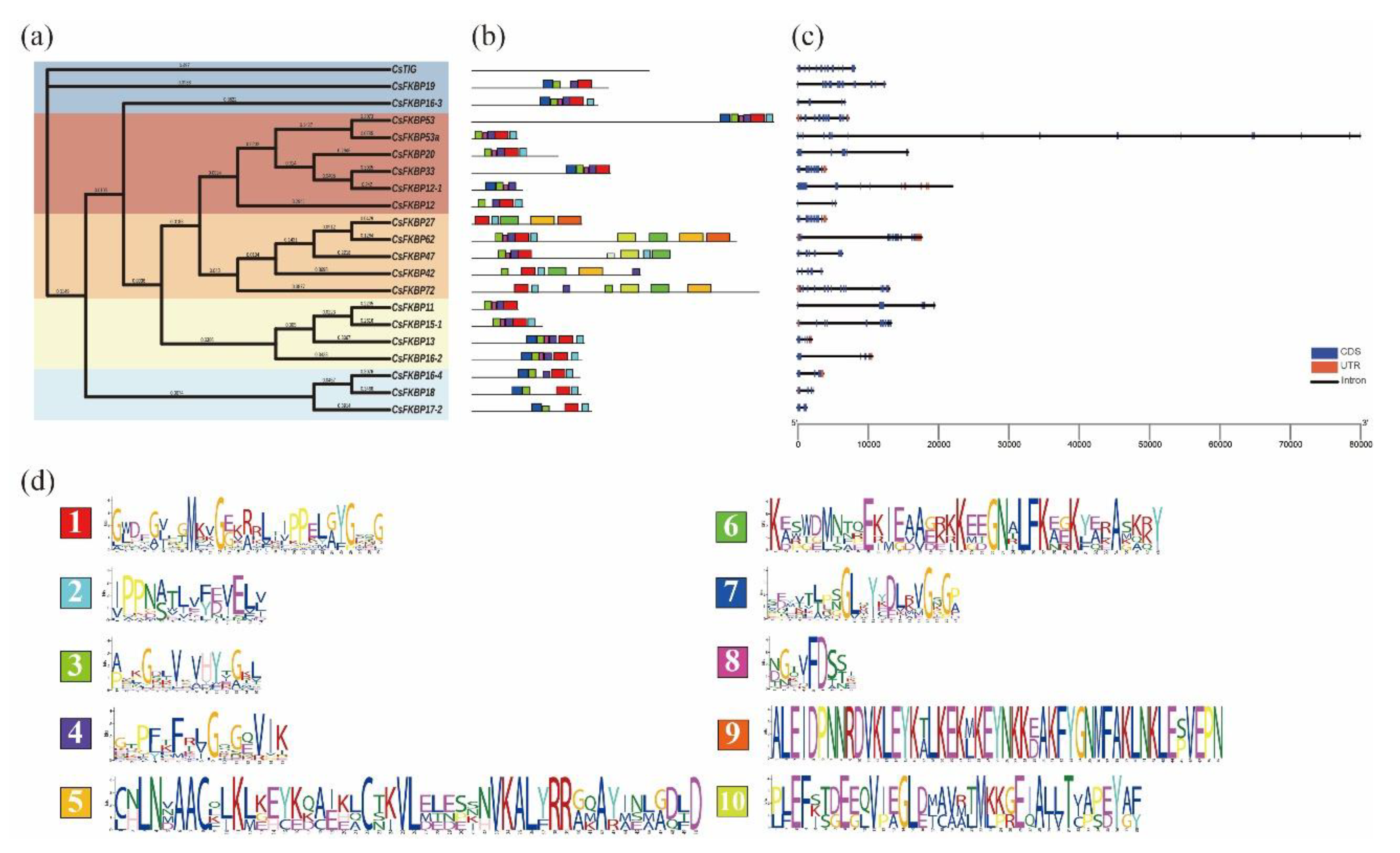 Preprints 148754 g003