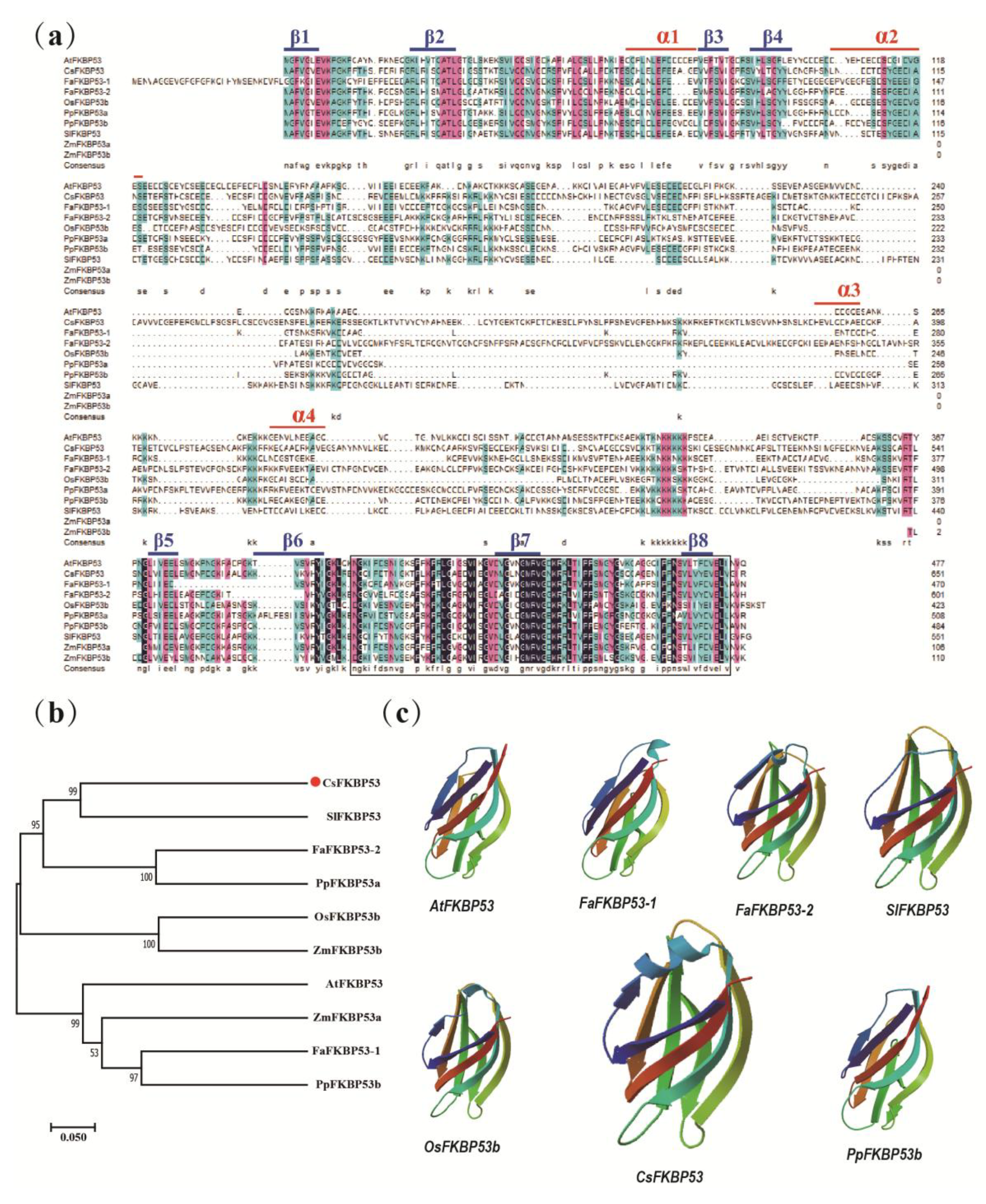 Preprints 148754 g005