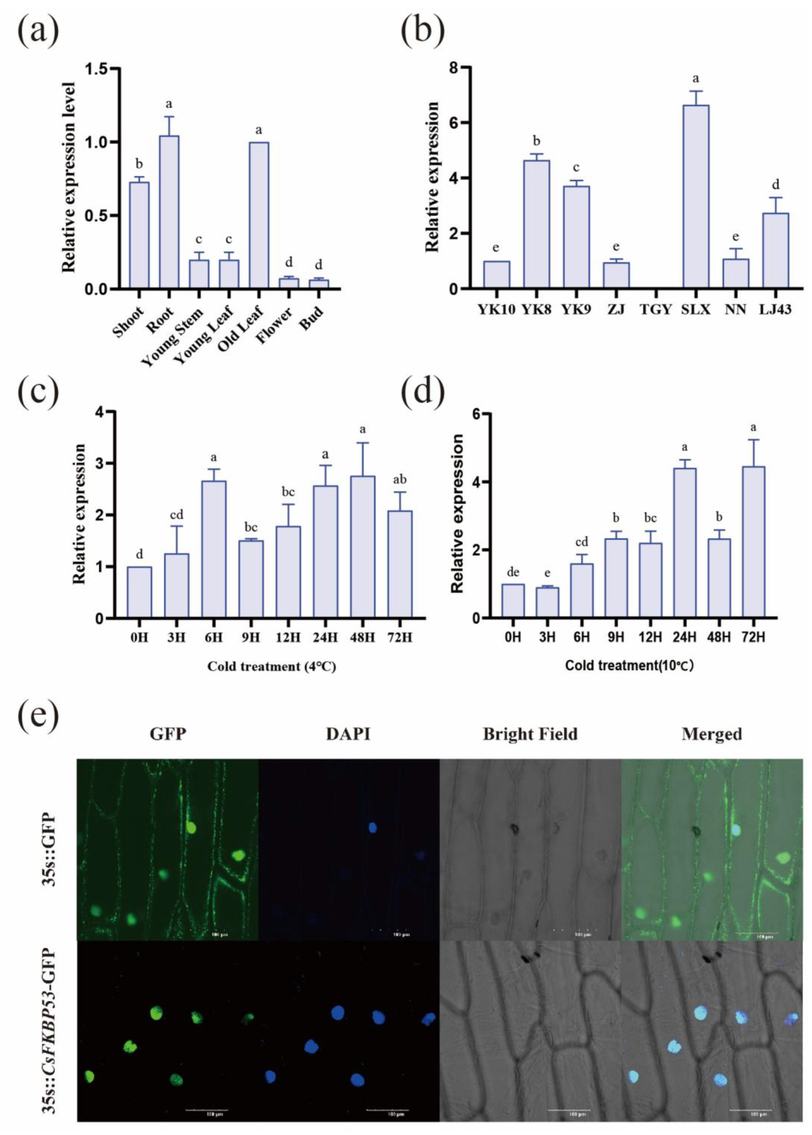 Preprints 148754 g006