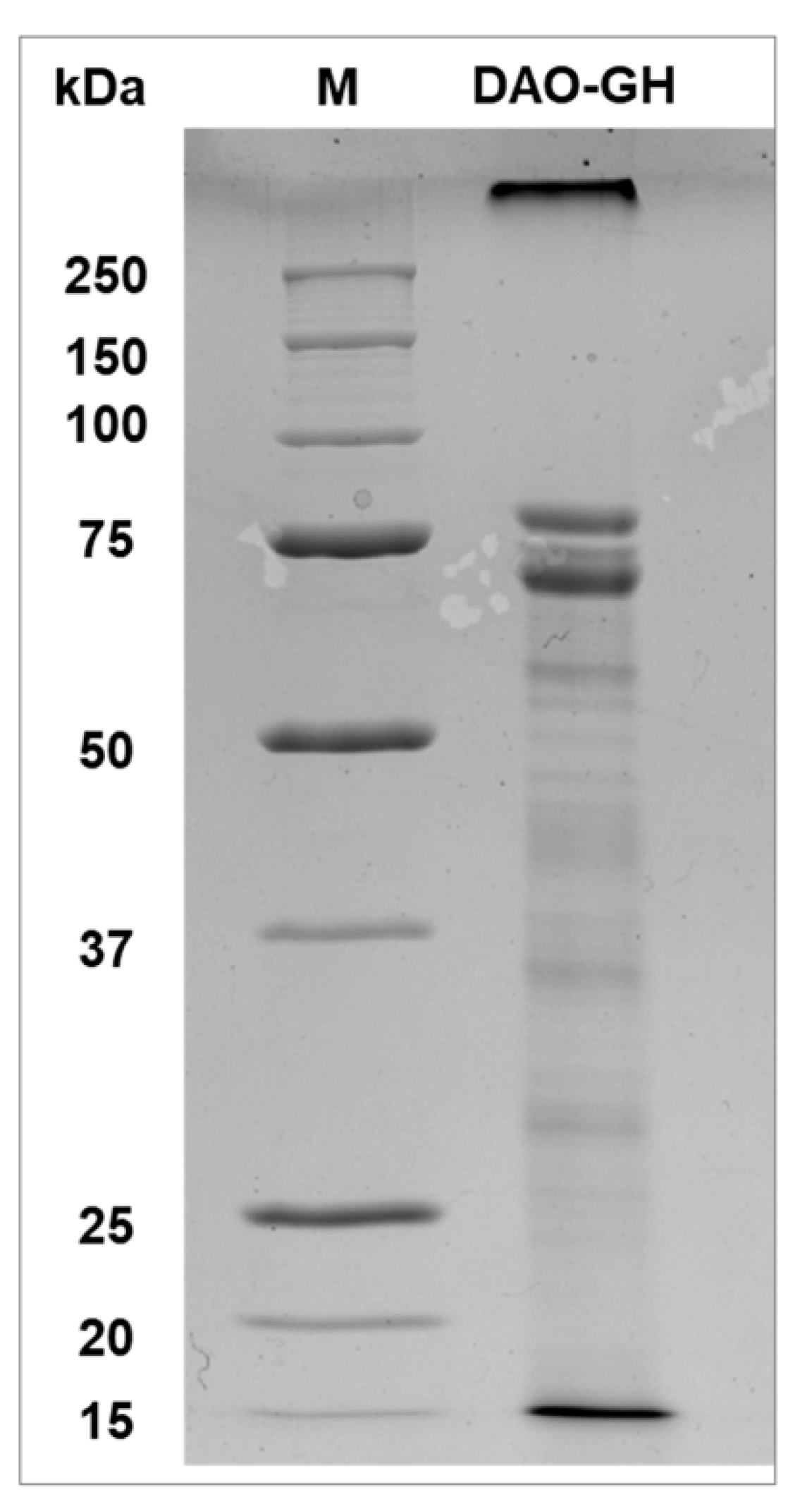 Preprints 170929 g002