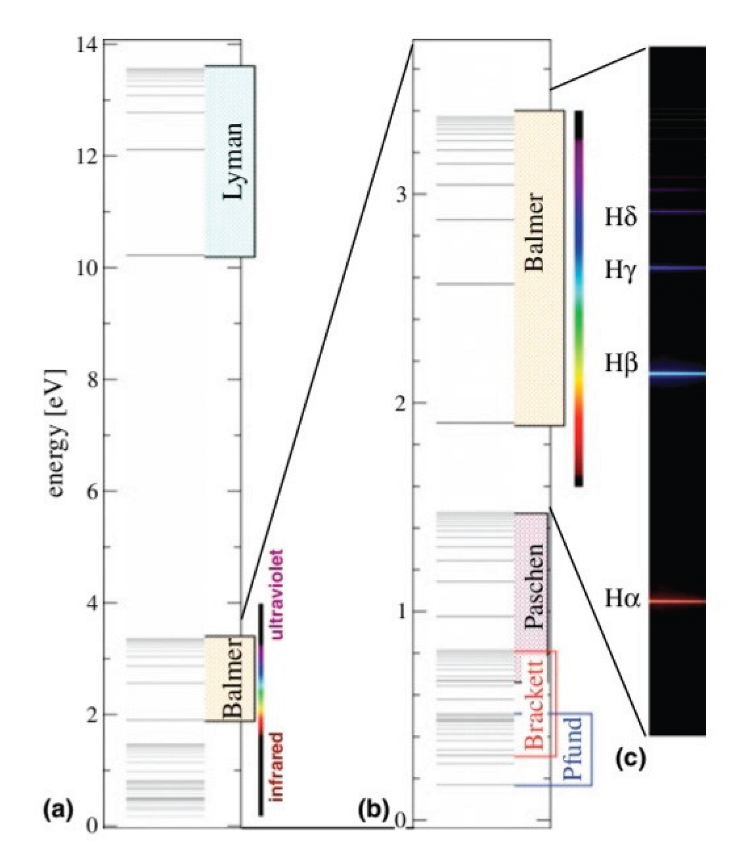 Preprints 219961 g002 Preprints 219961 g002