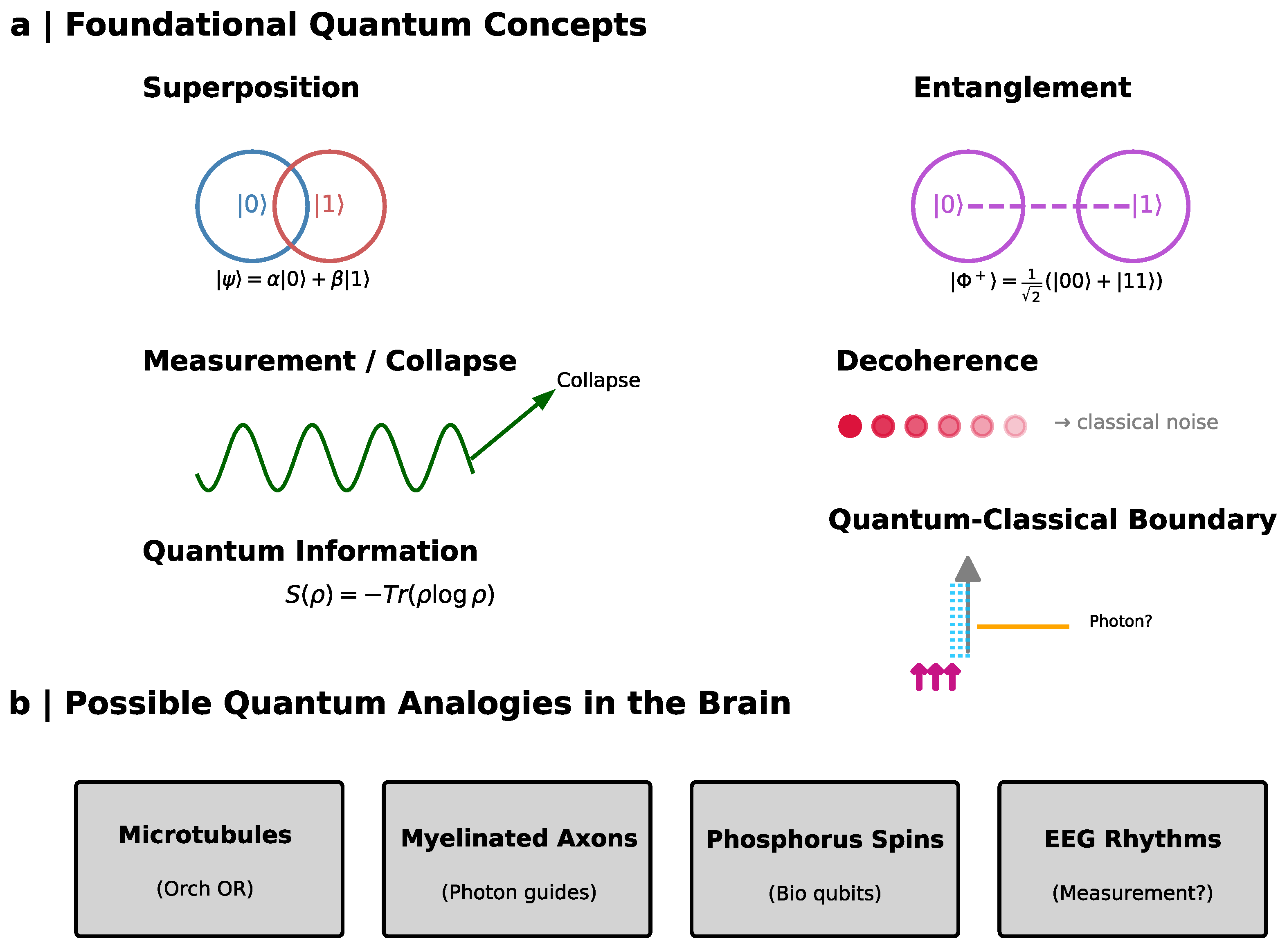 Preprints 201222 g001