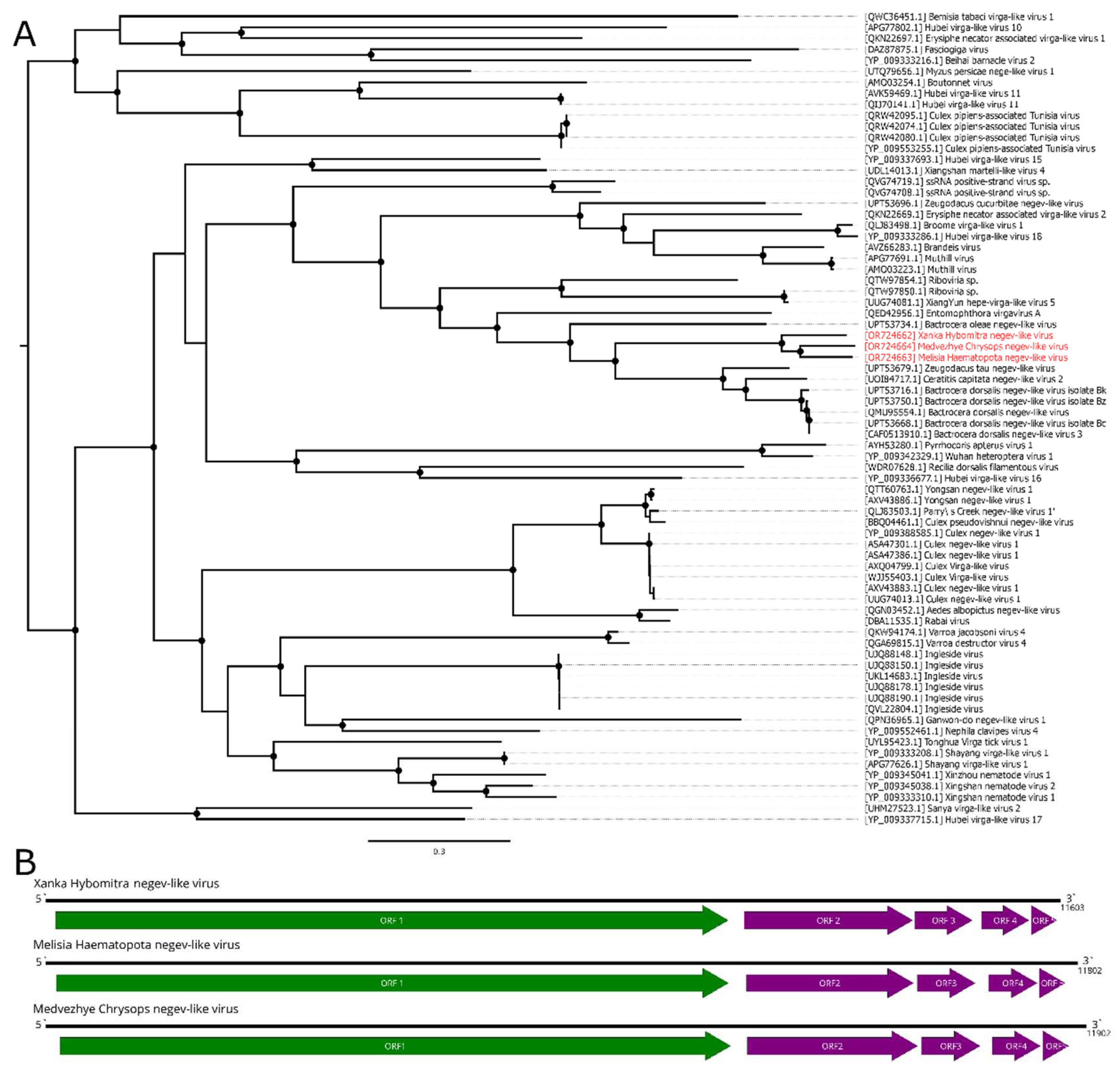 Preprints 89176 g002