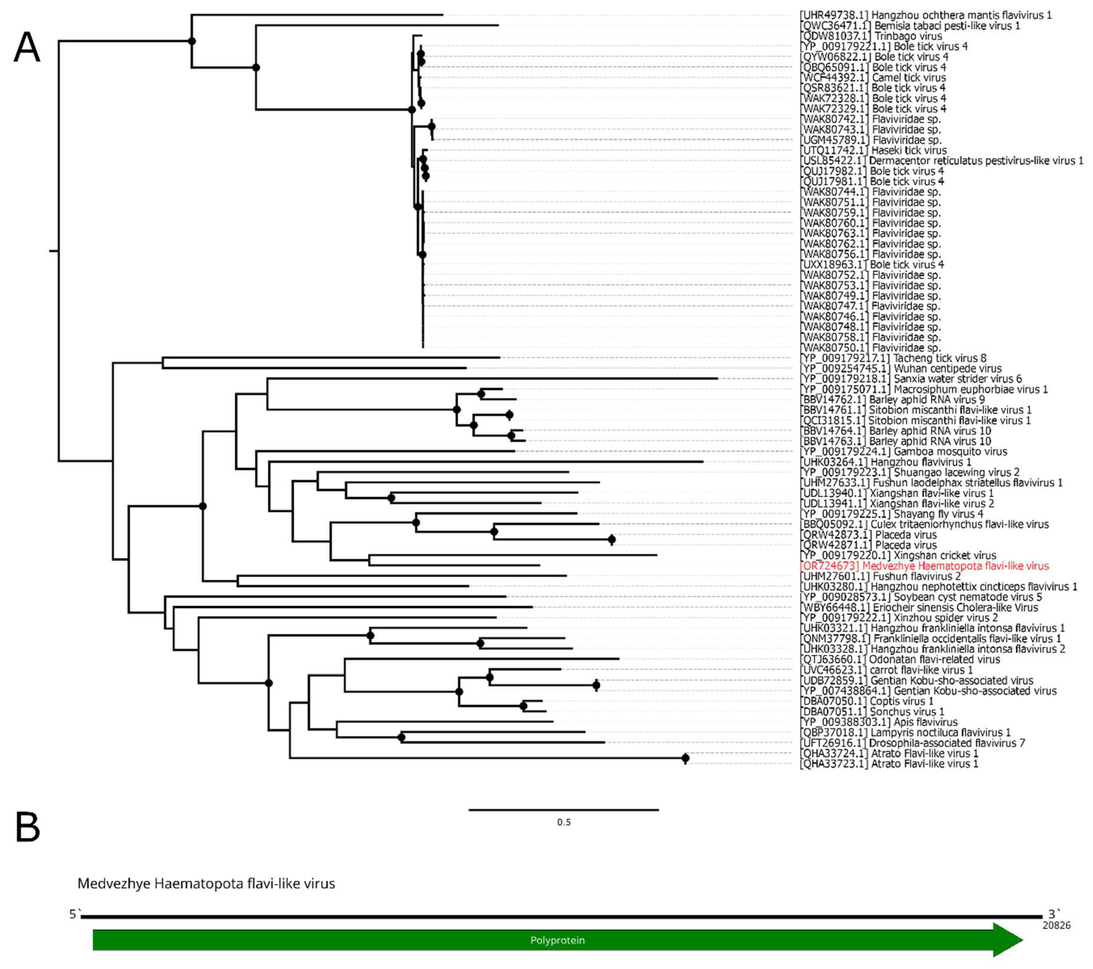 Preprints 89176 g003