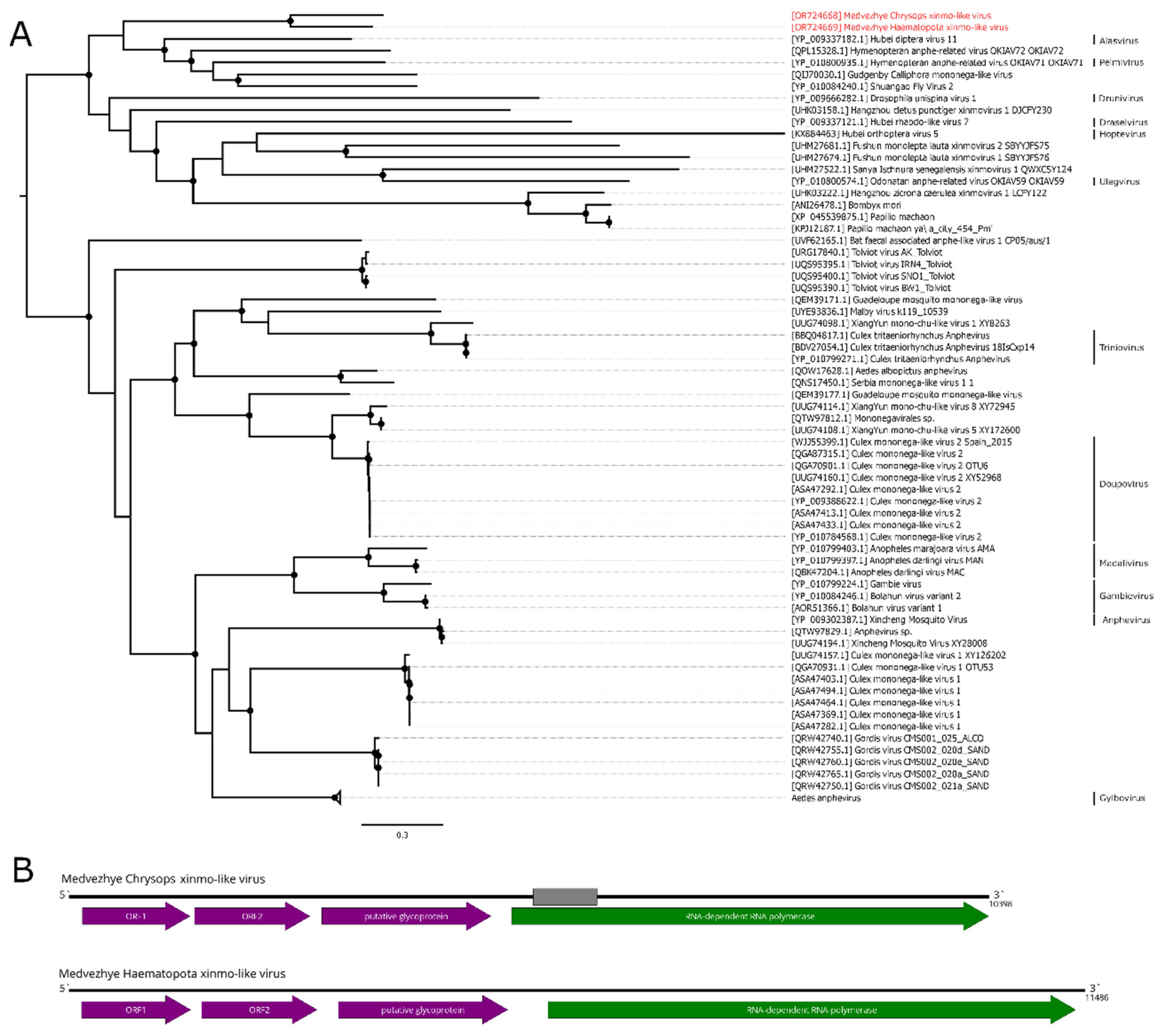 Preprints 89176 g004