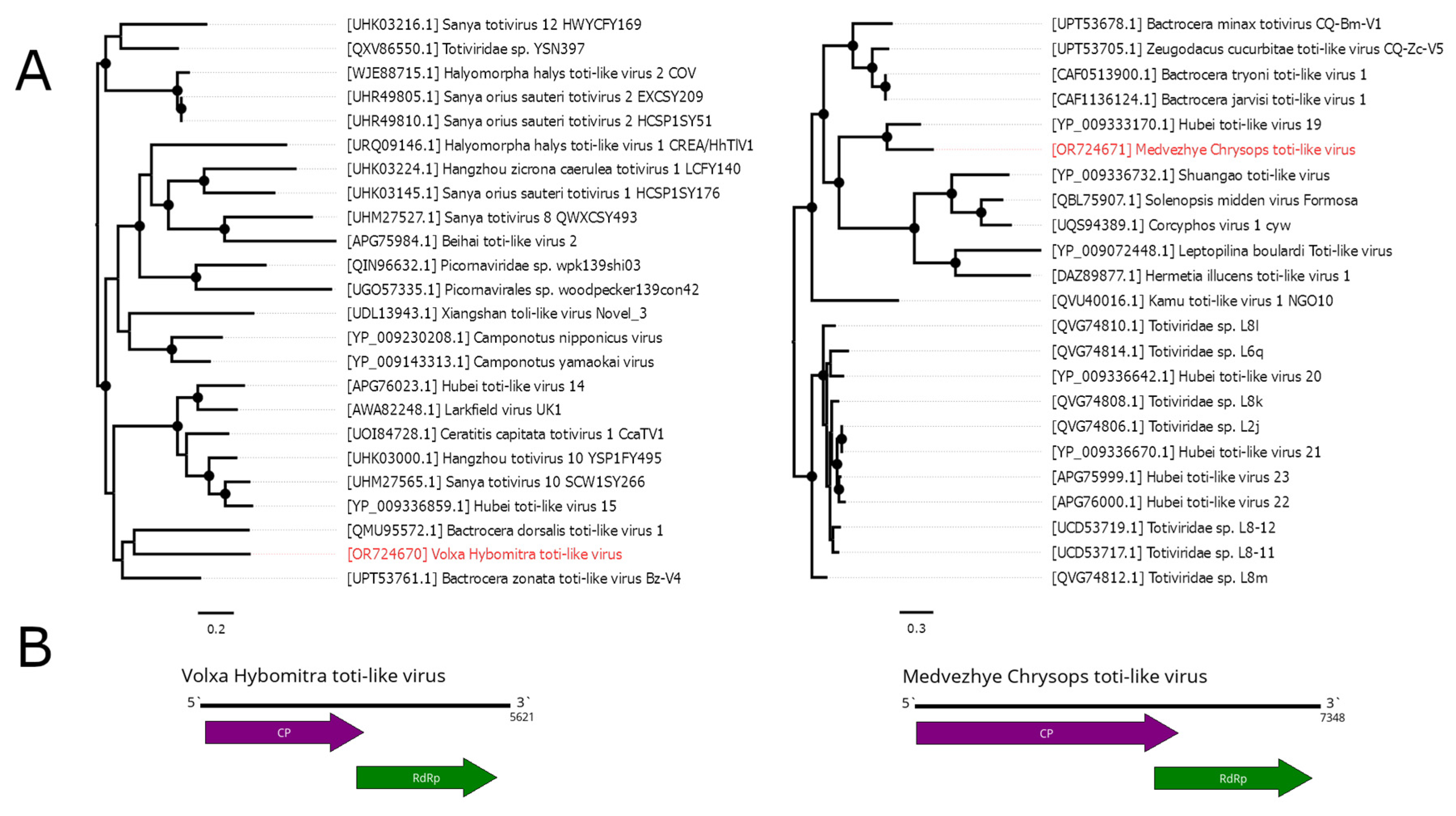 Preprints 89176 g005