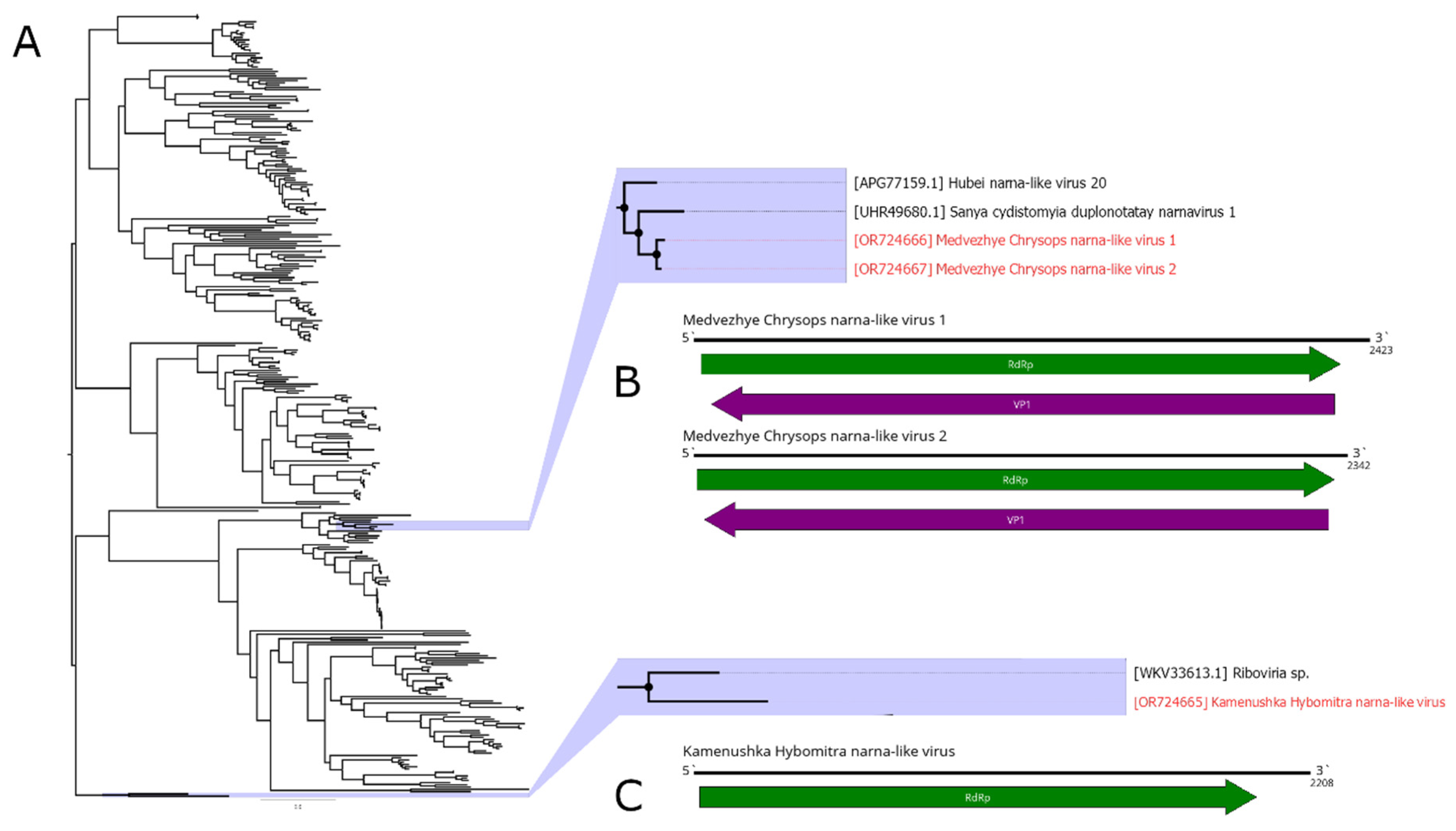 Preprints 89176 g006