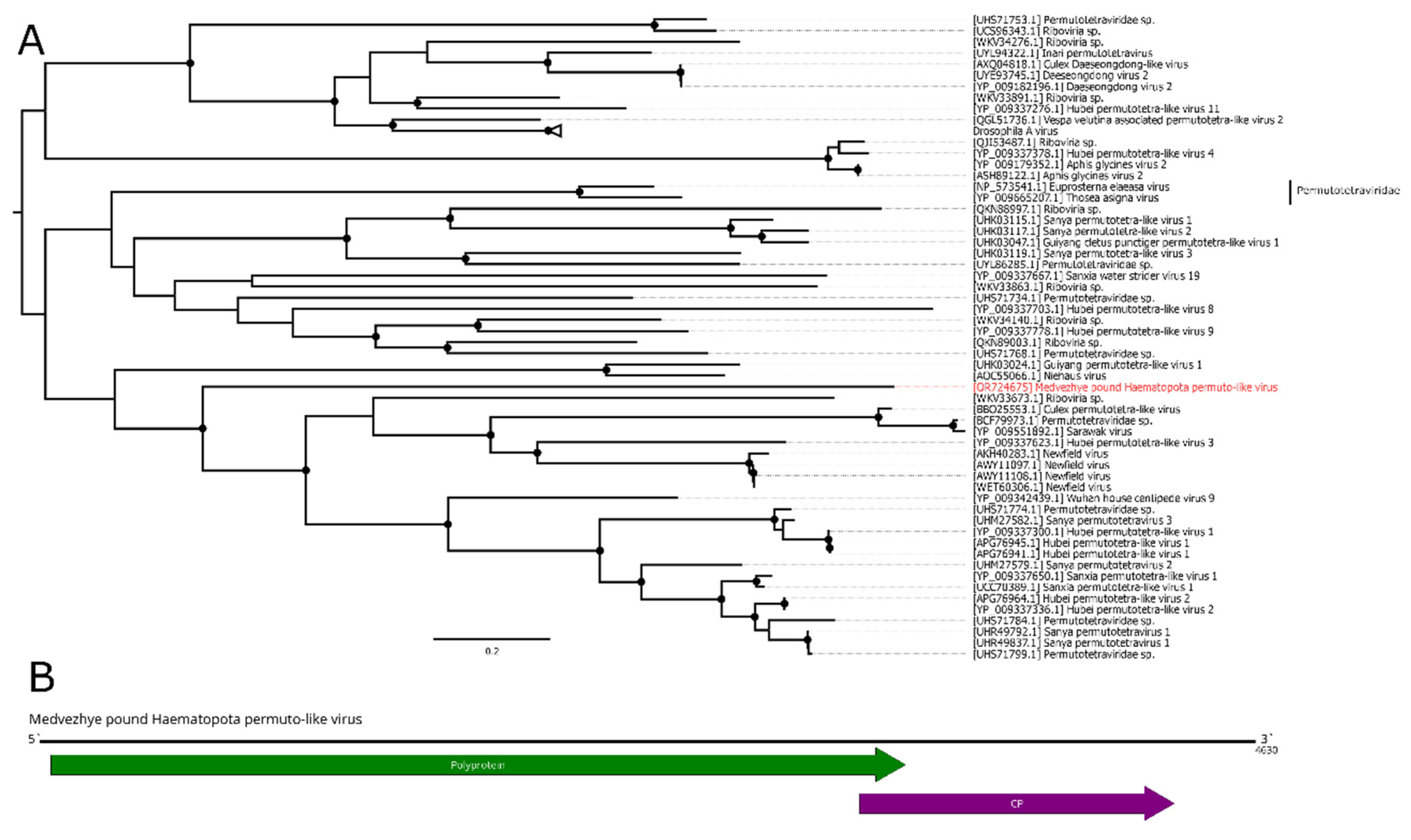 Preprints 89176 g008