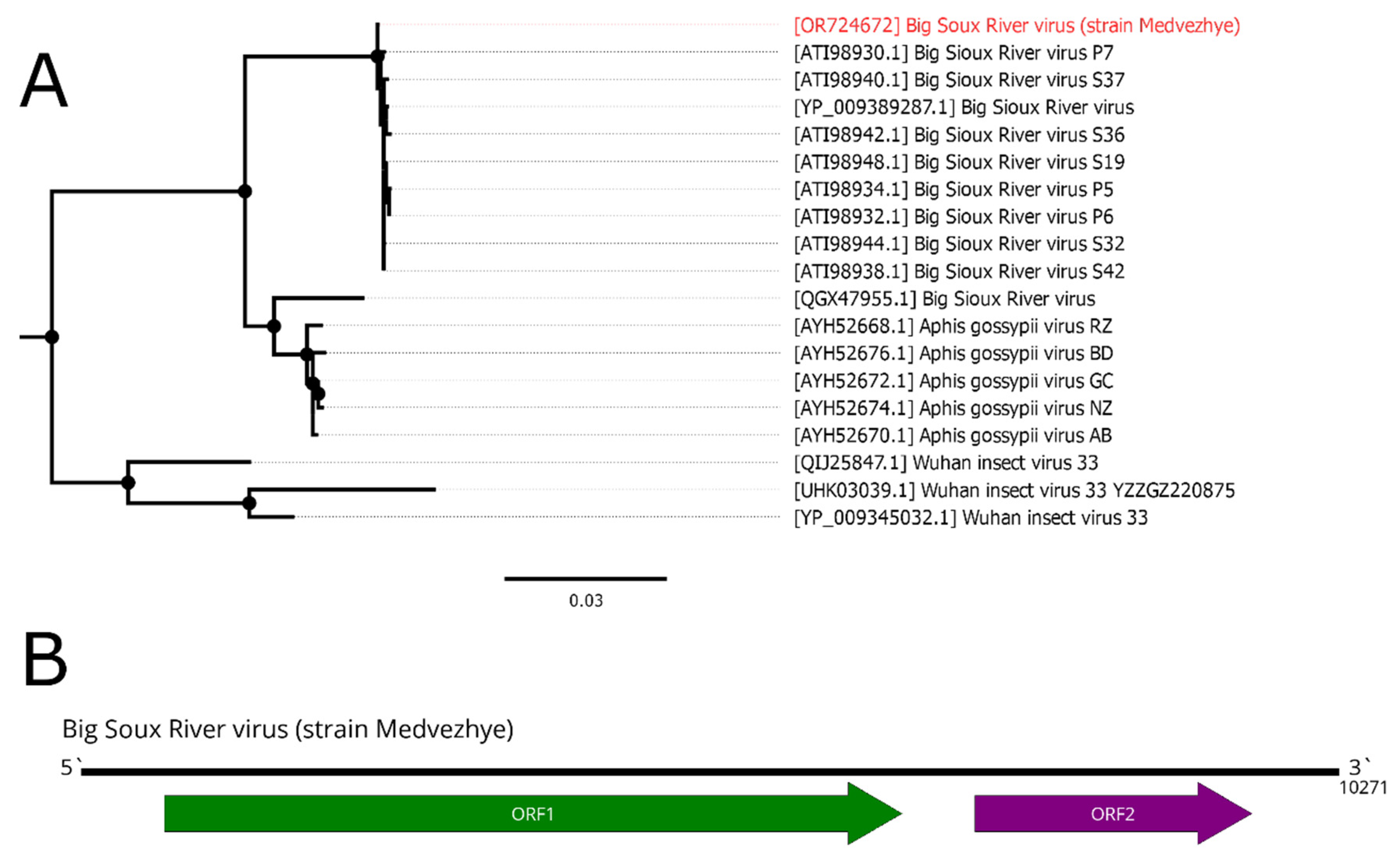 Preprints 89176 g009