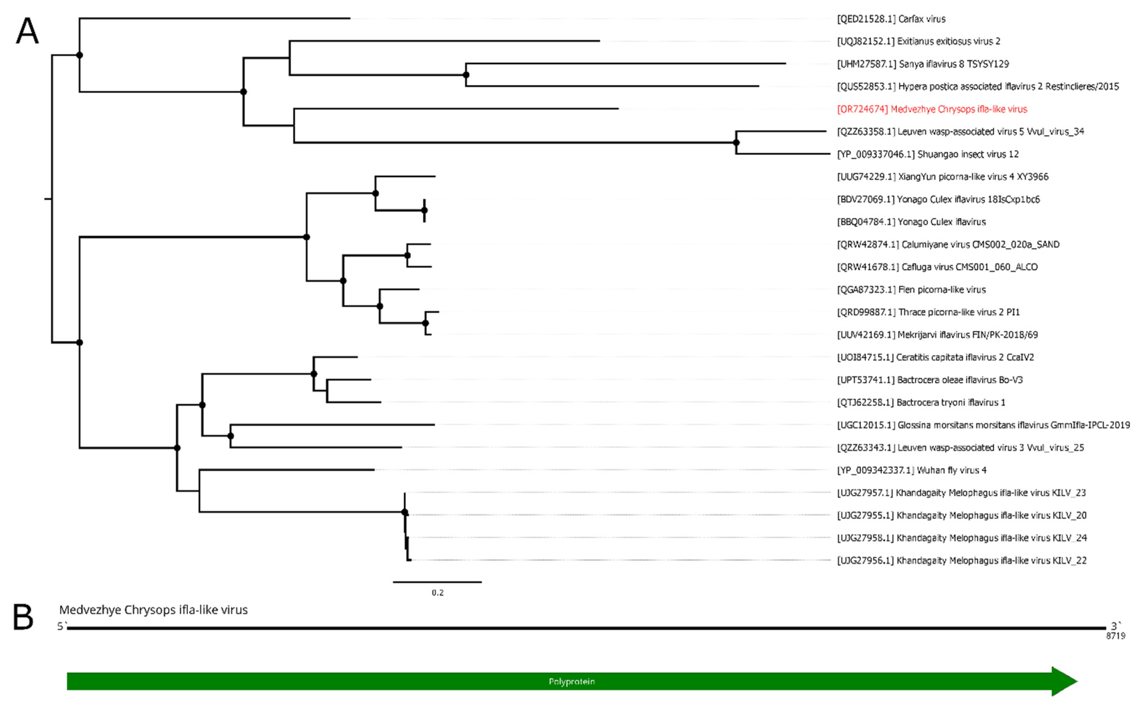 Preprints 89176 g010
