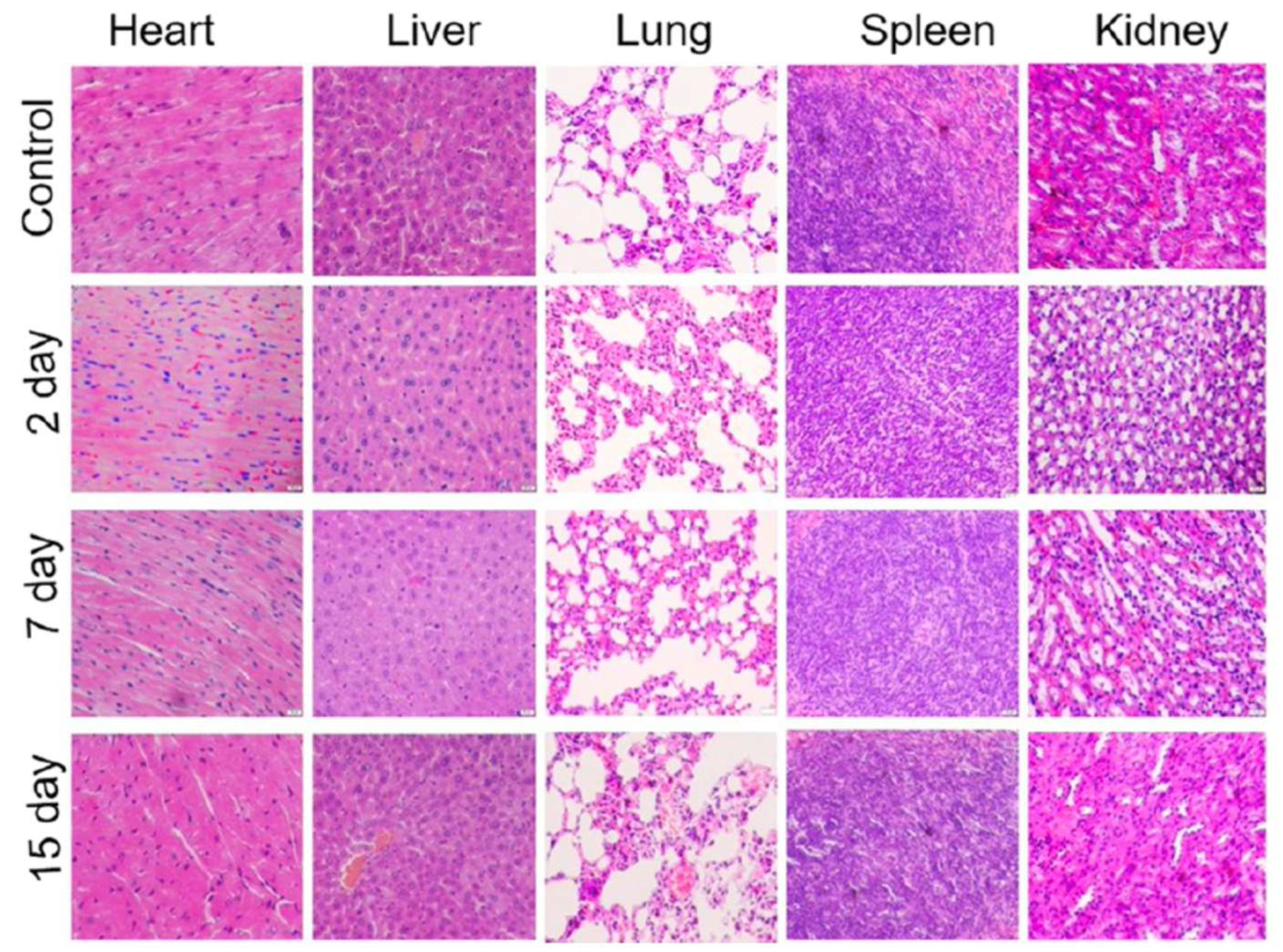 Preprints 205824 g004