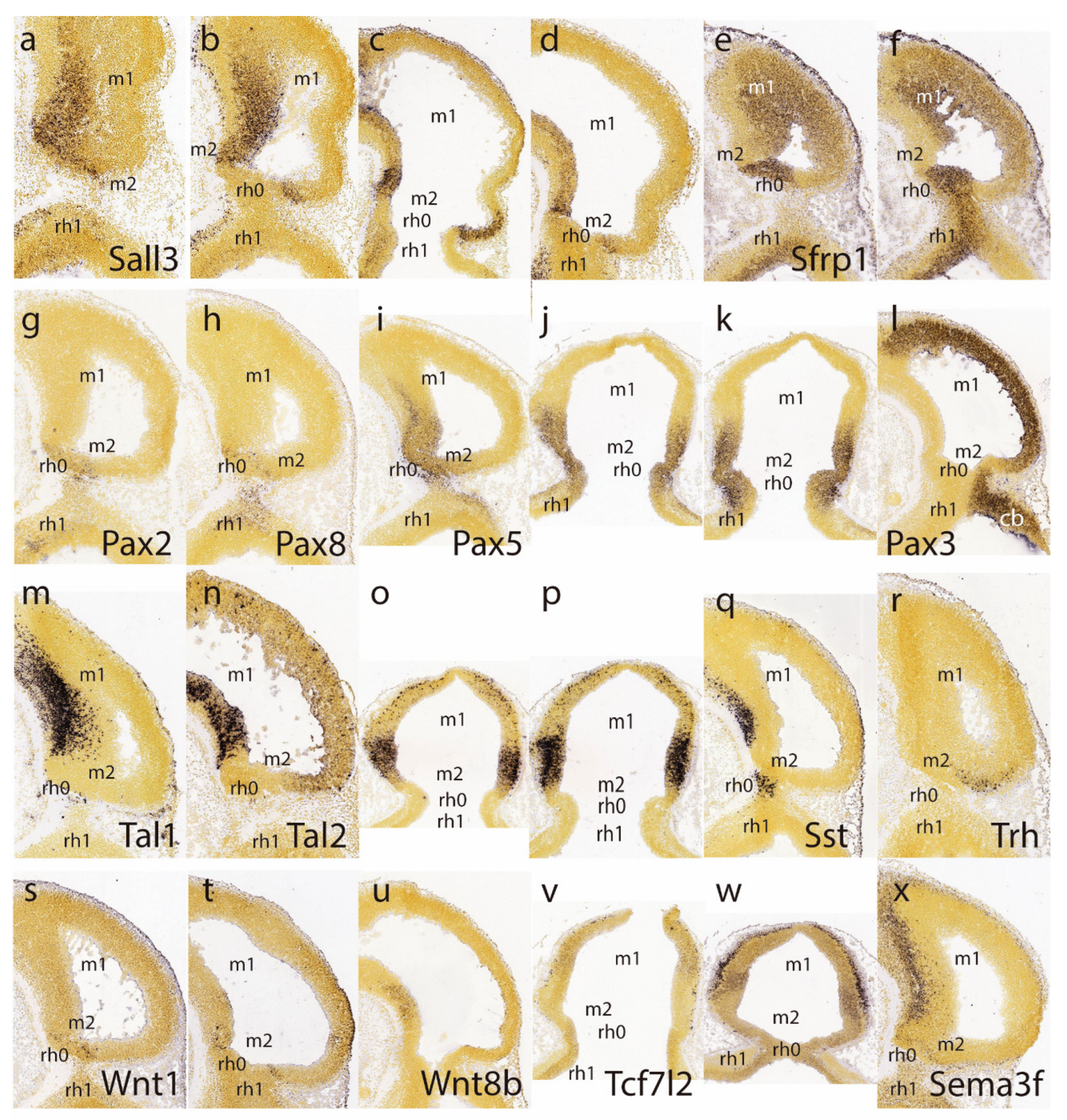Preprints 72038 g002