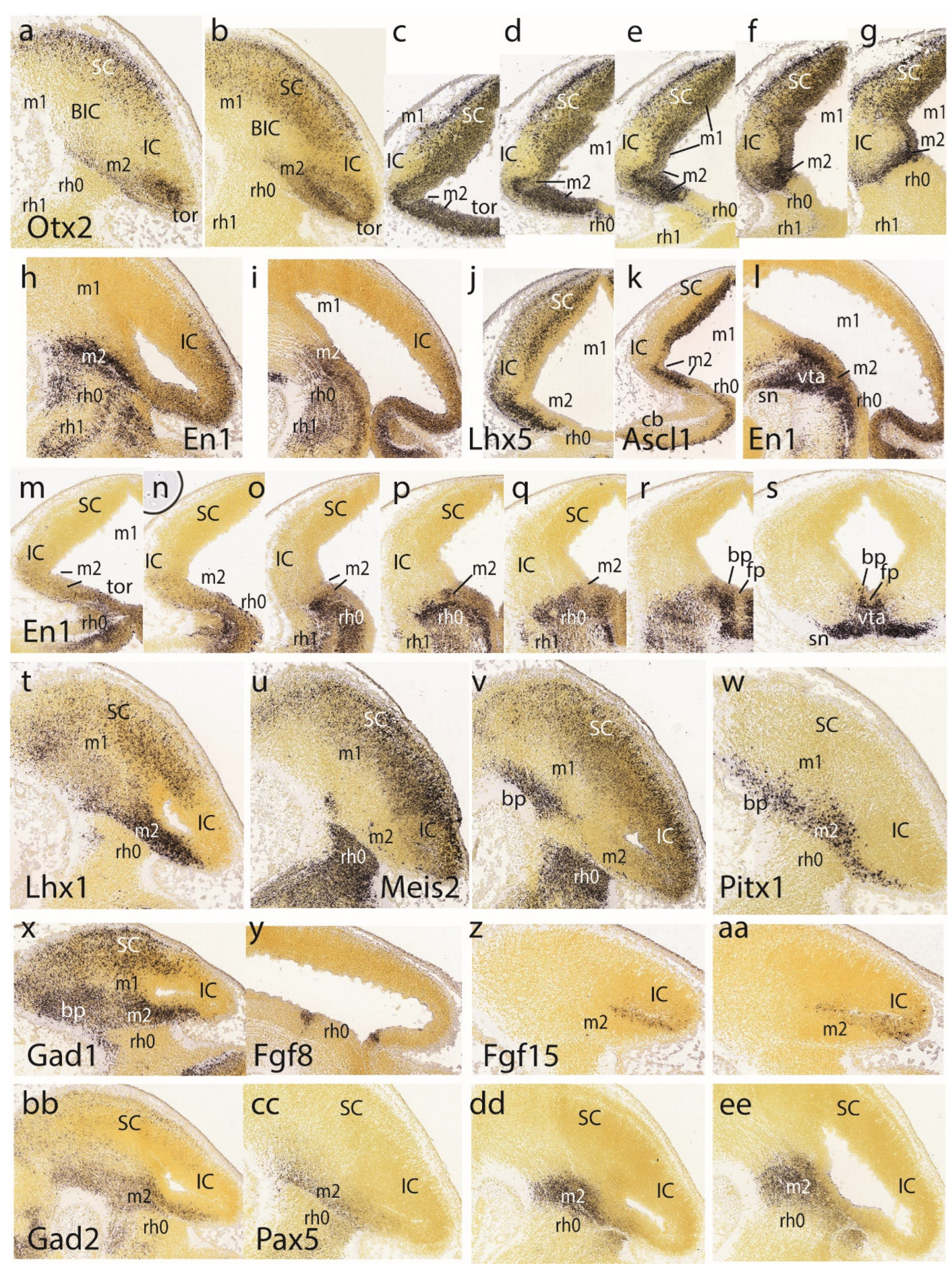 Preprints 72038 g003