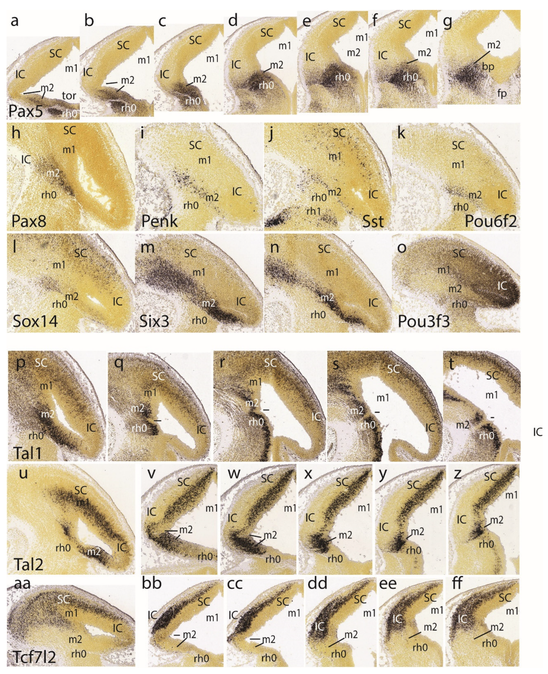 Preprints 72038 g004