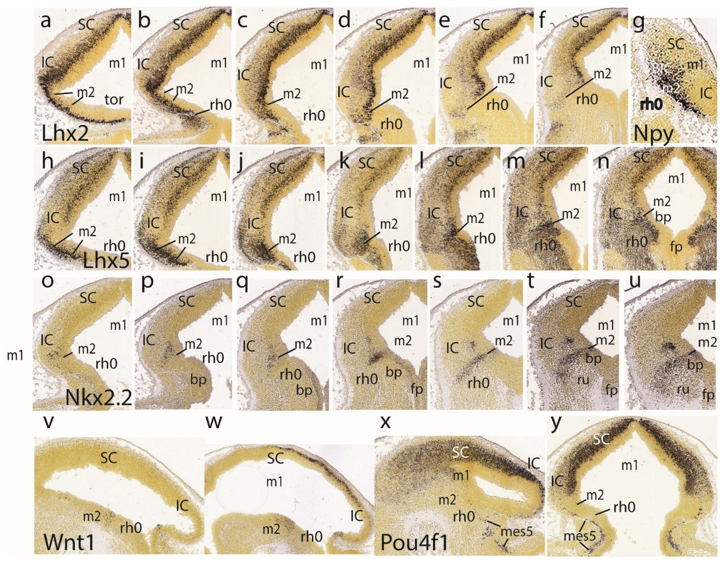 Preprints 72038 g005