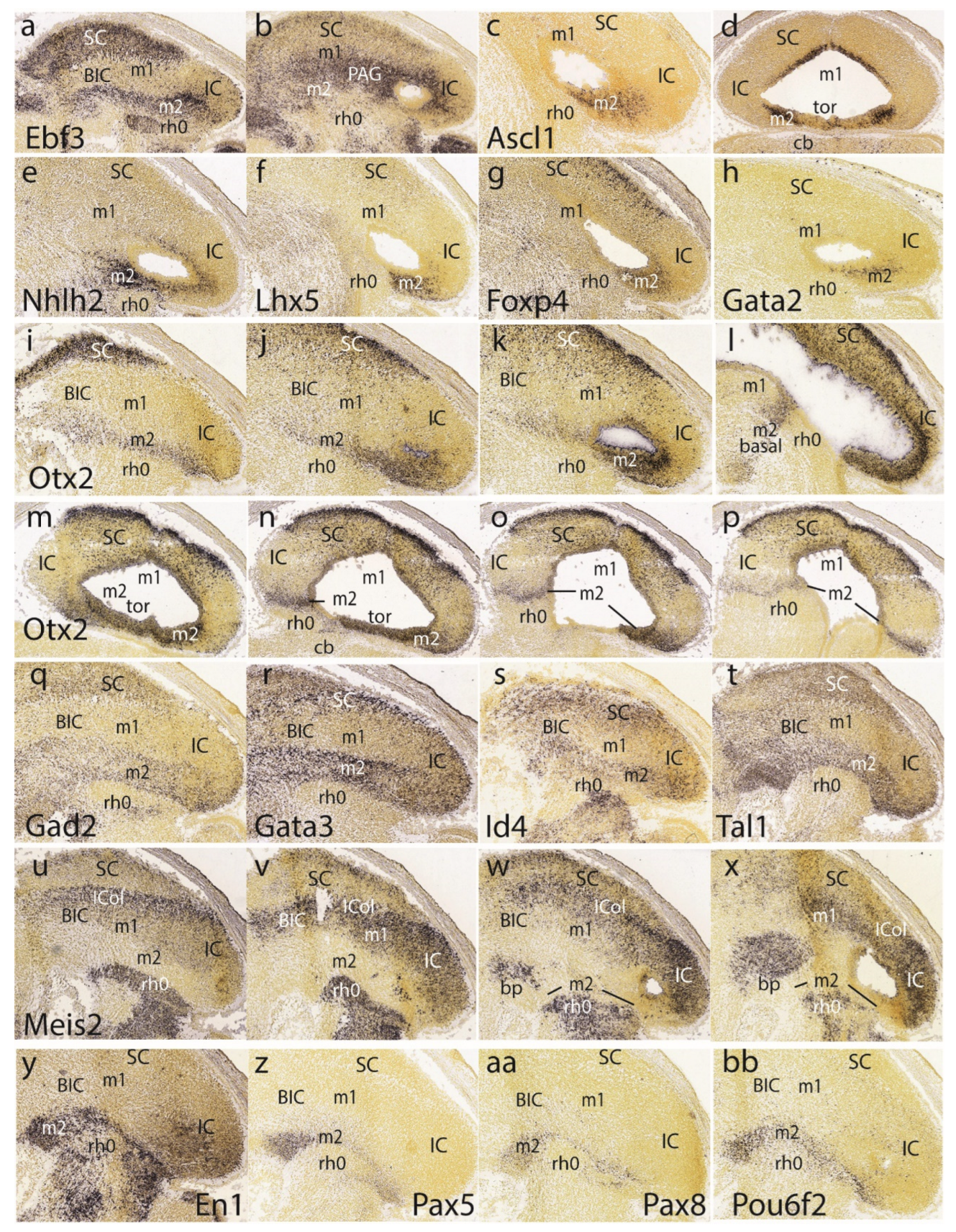 Preprints 72038 g006