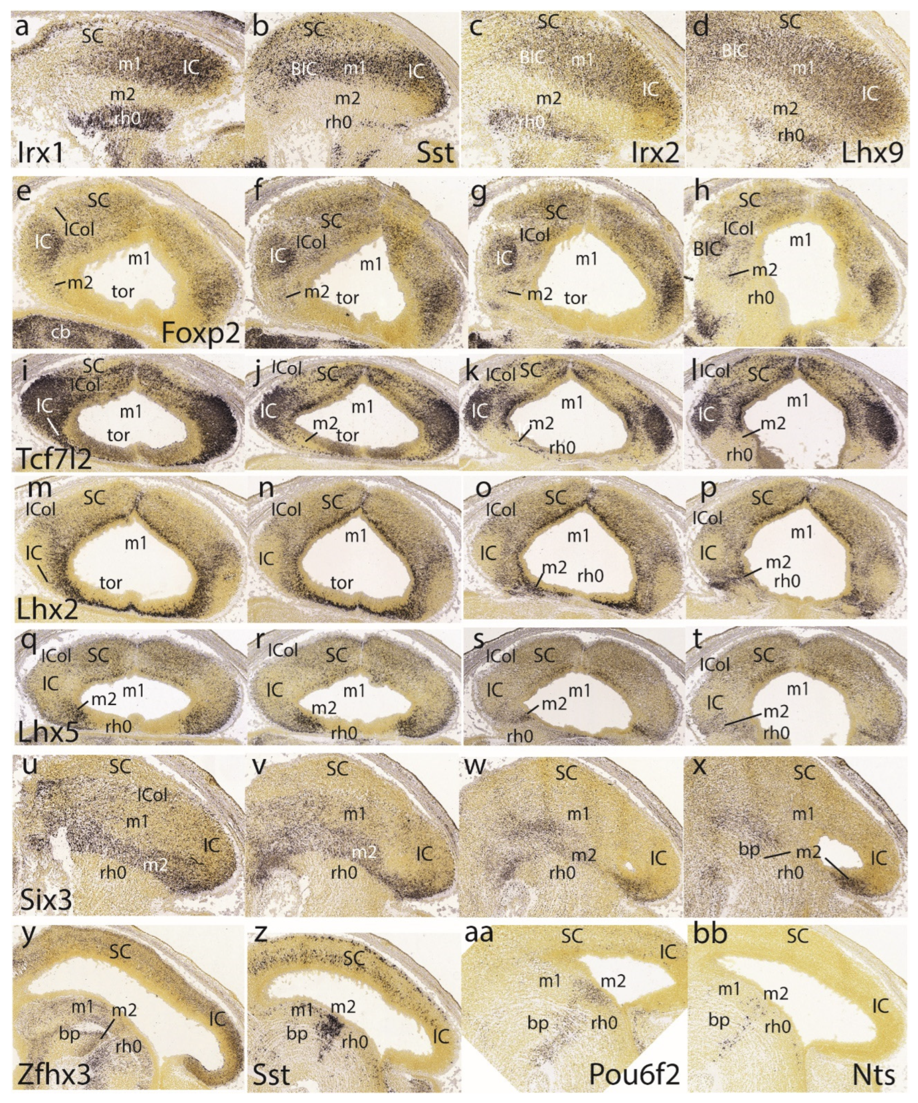 Preprints 72038 g007
