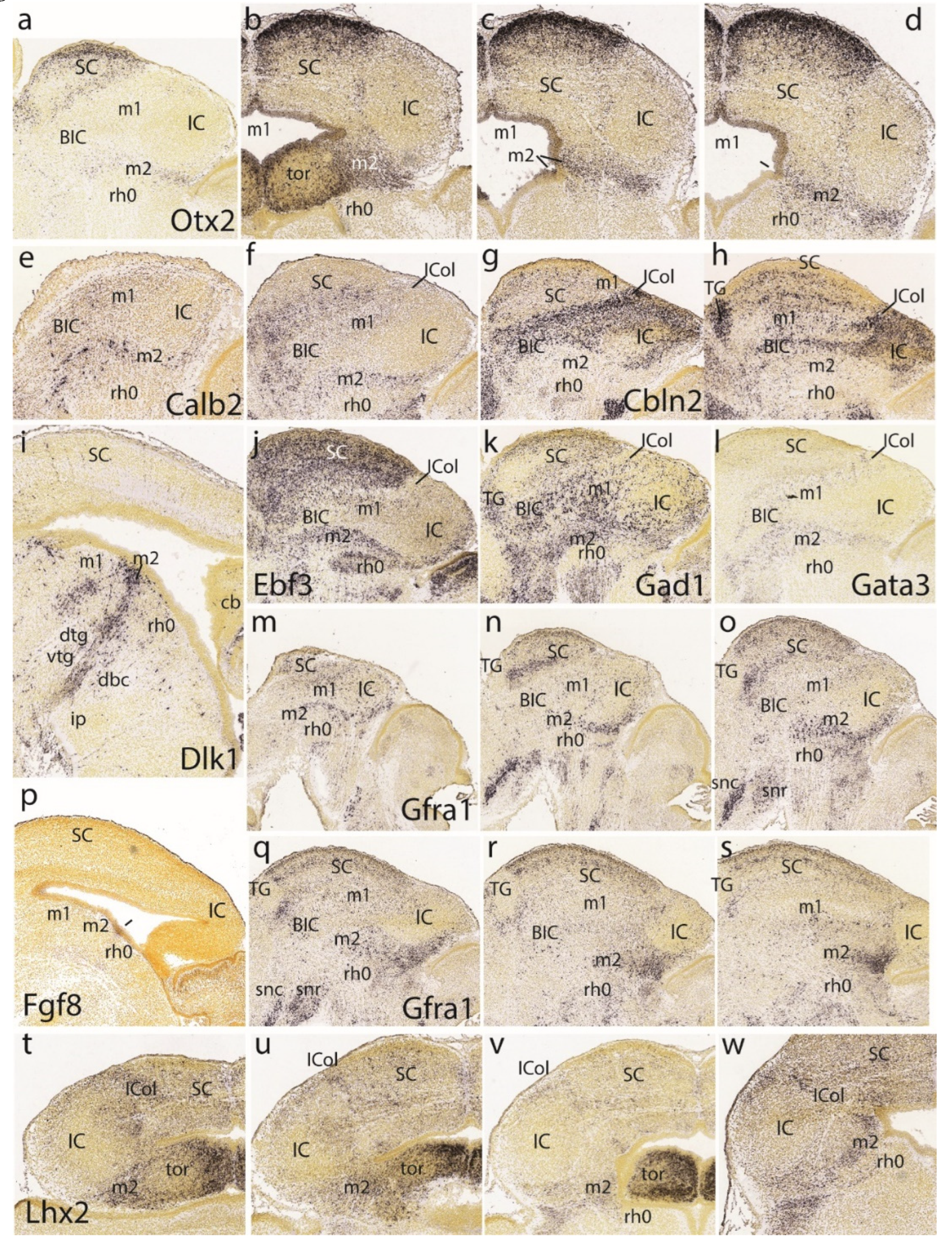 Preprints 72038 g008