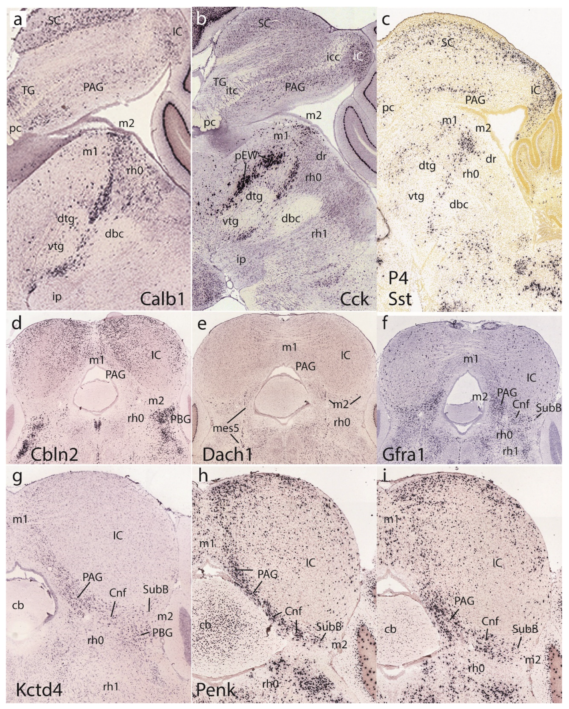 Preprints 72038 g011