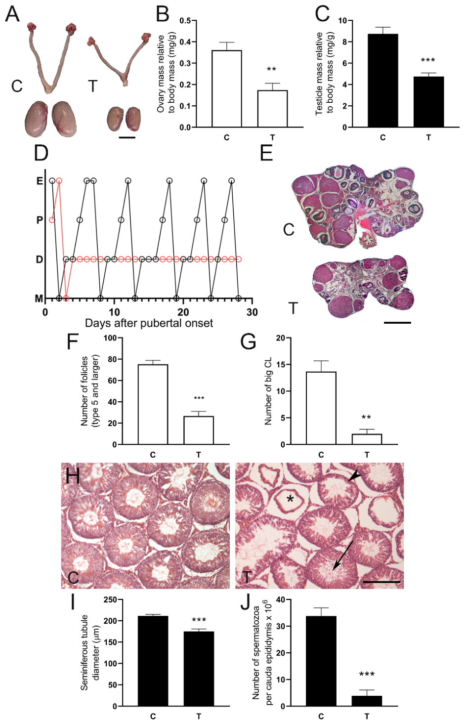 Preprints 224623 g001 Preprints 224623 g001
