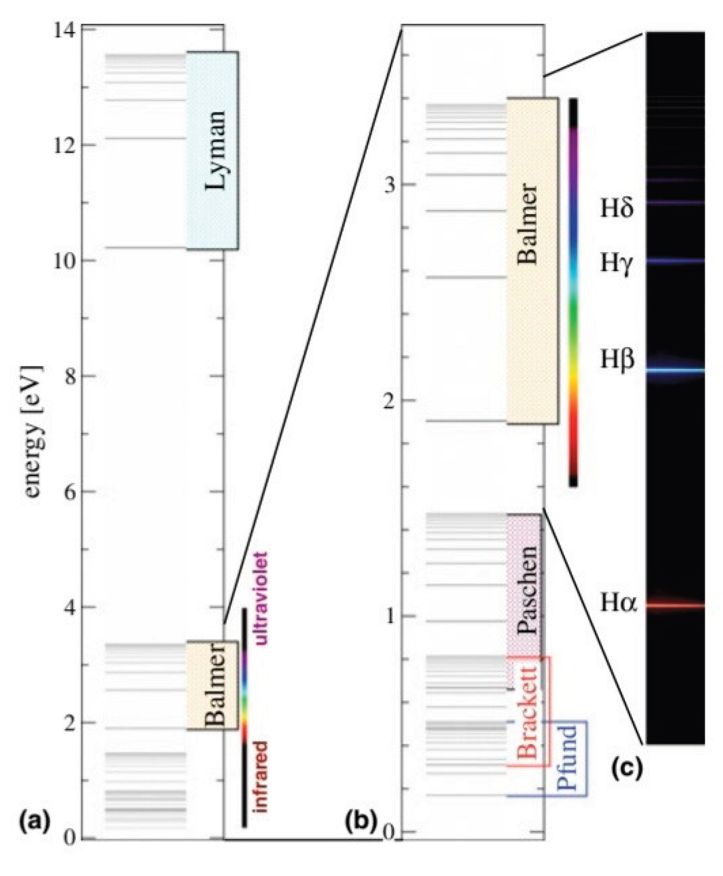 Preprints 190318 g002