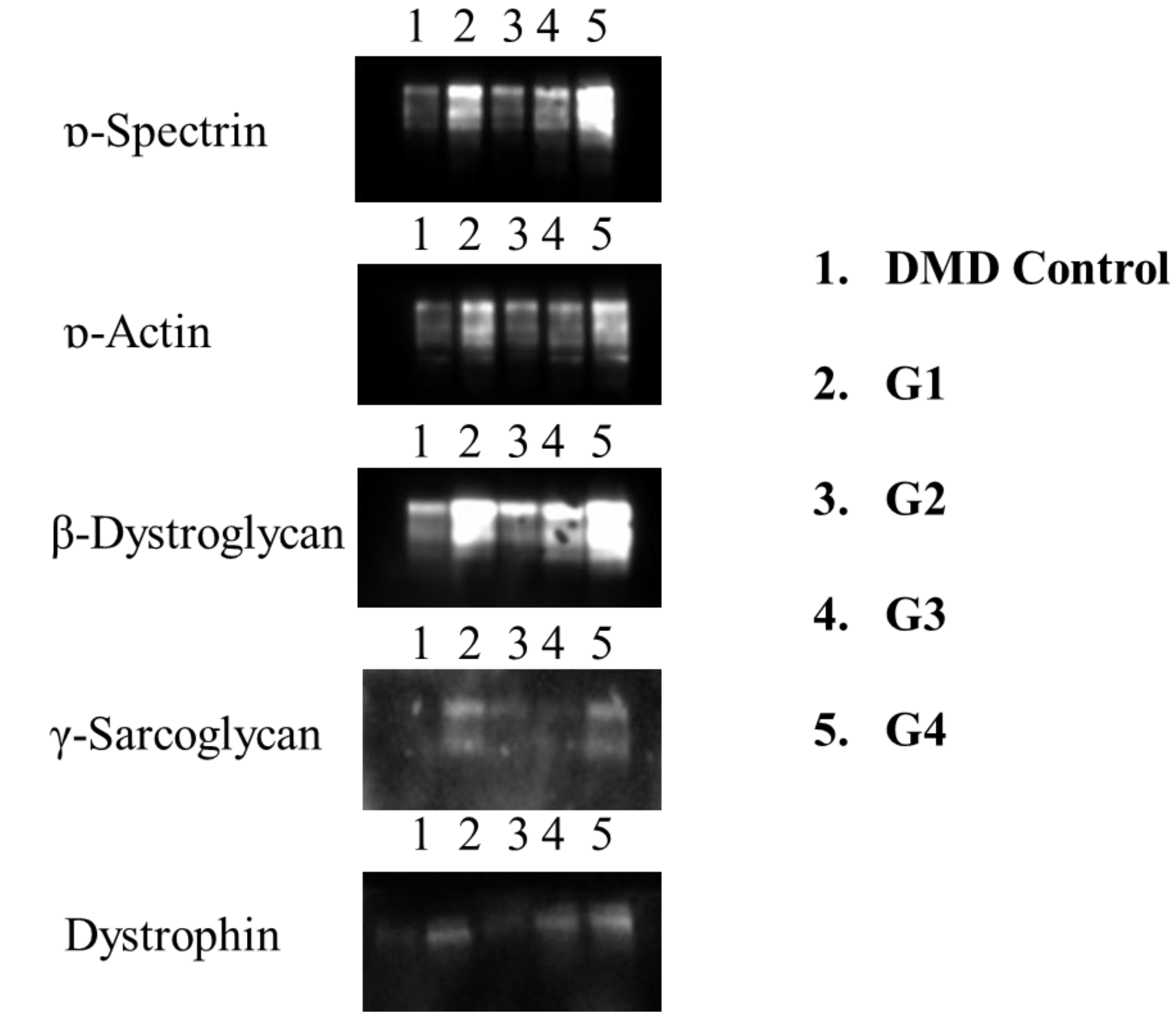 Preprints 183246 g002