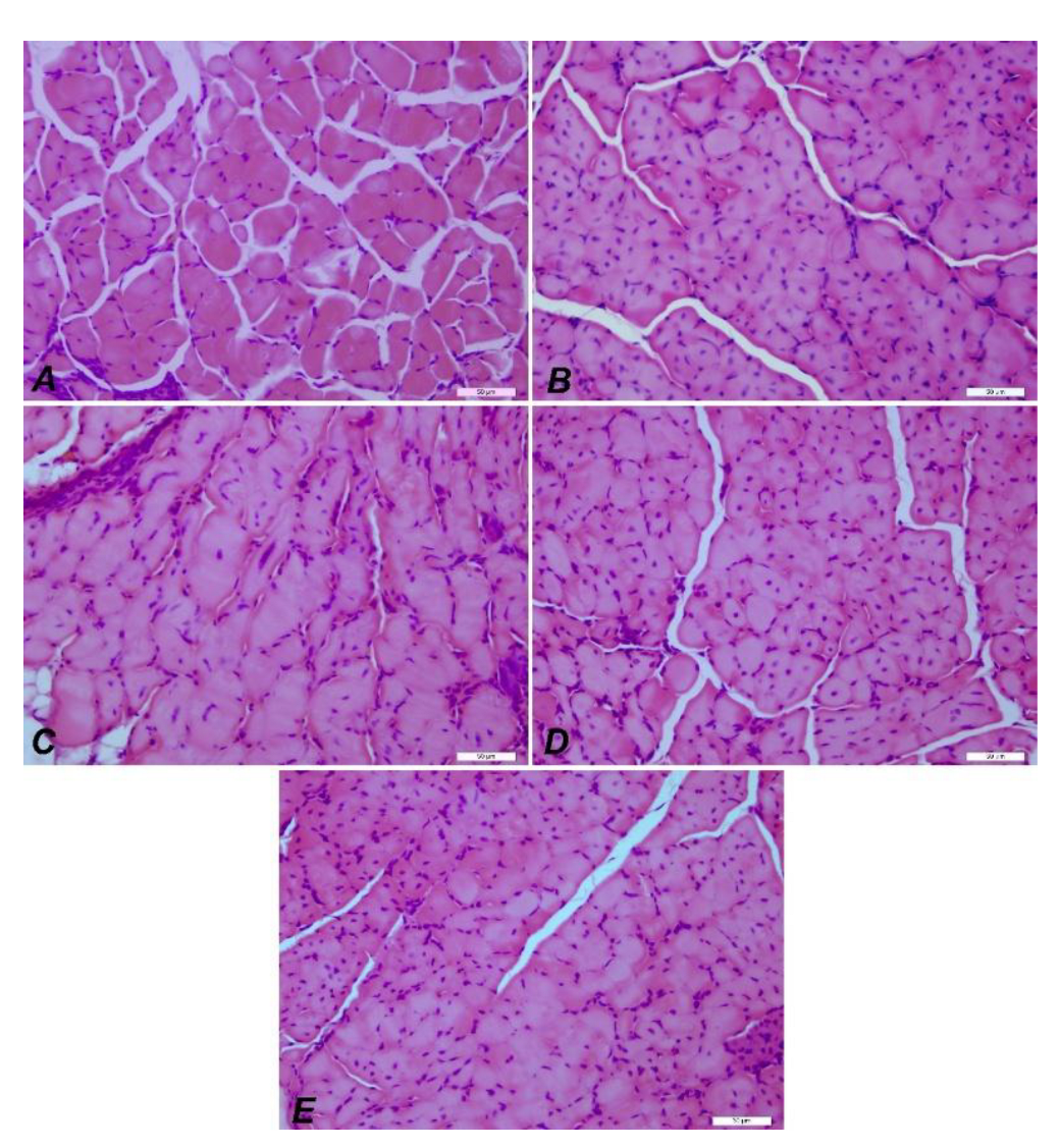 Preprints 183246 g012
