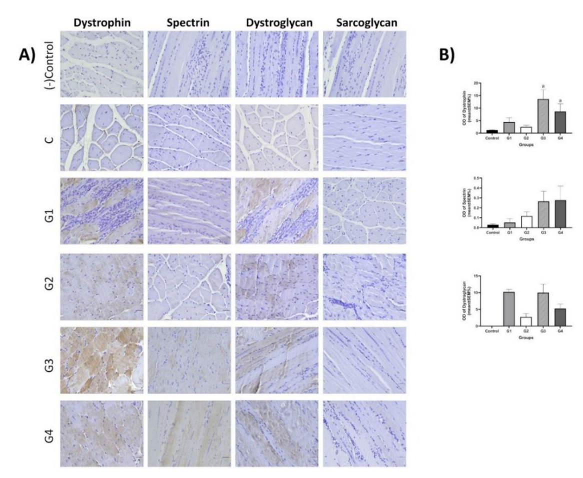 Preprints 183246 g014