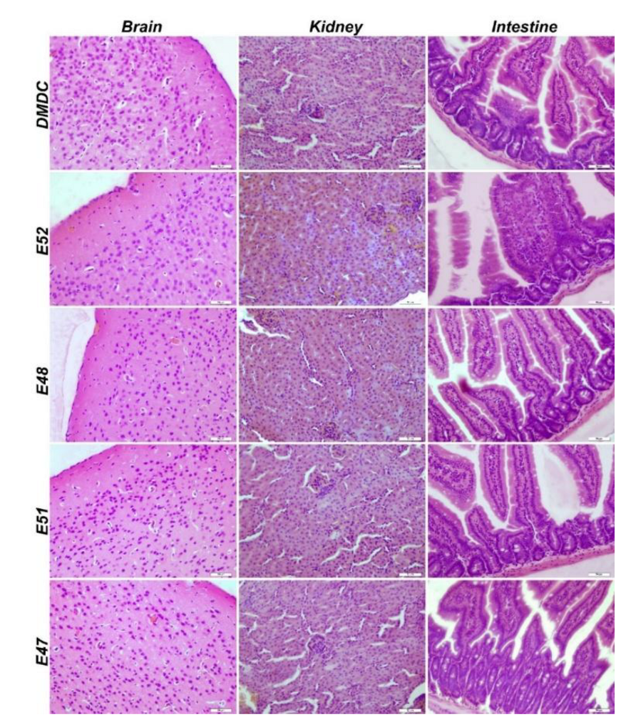 Preprints 183246 g015