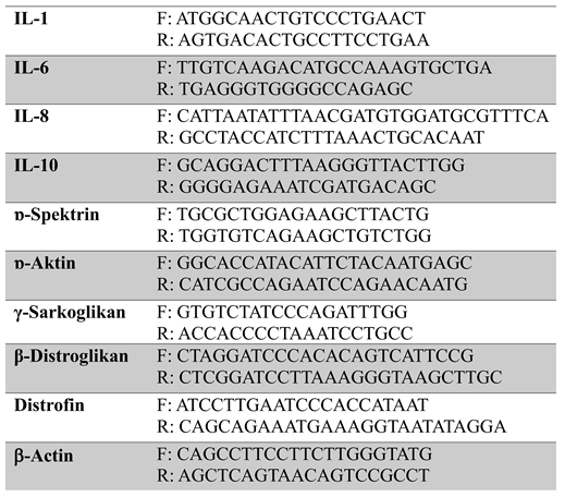 Preprints 183246 i002