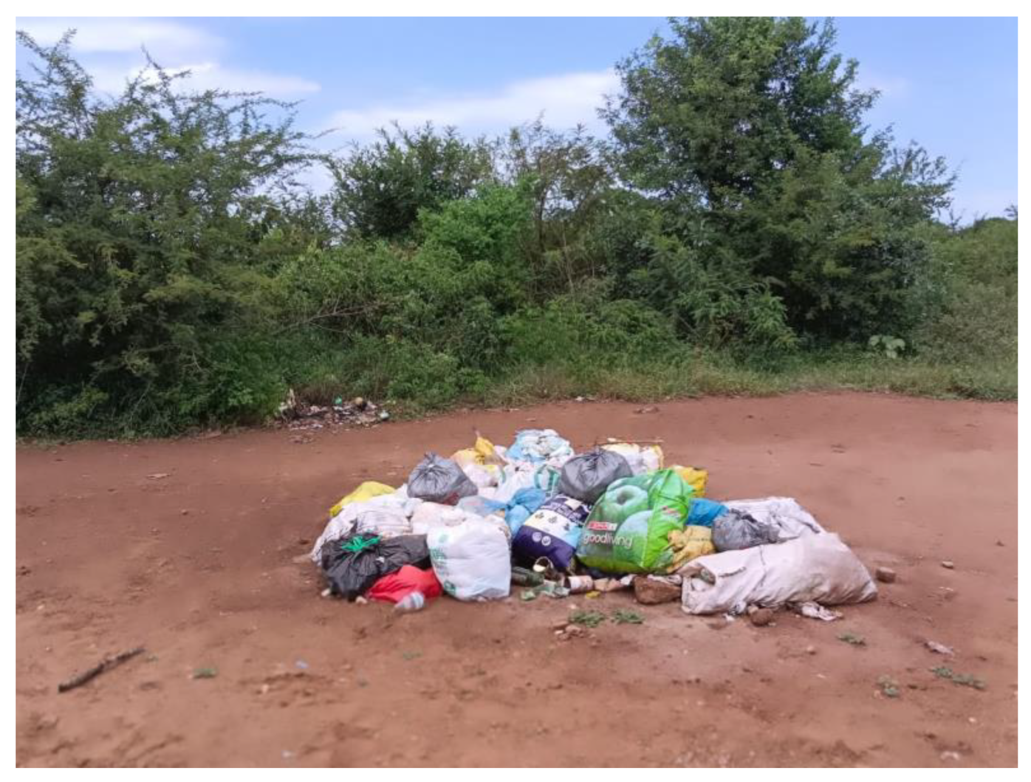 Preprints 161271 g004