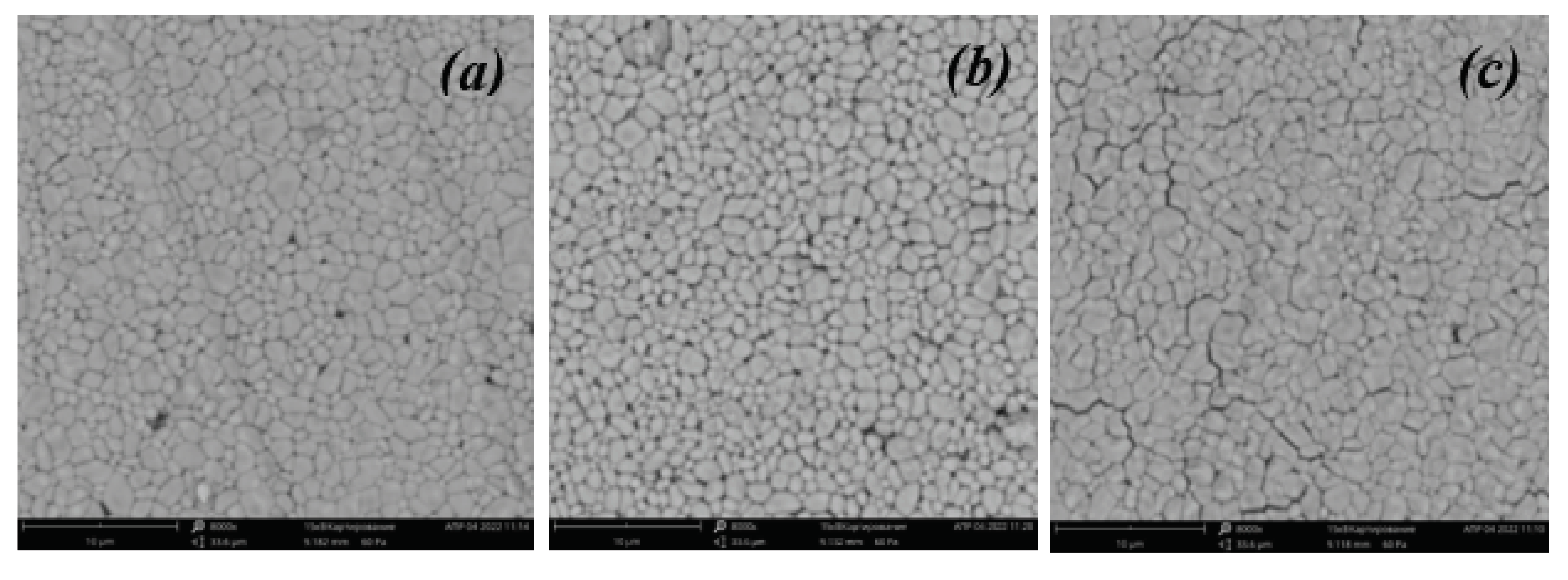 Preprints 86817 g002