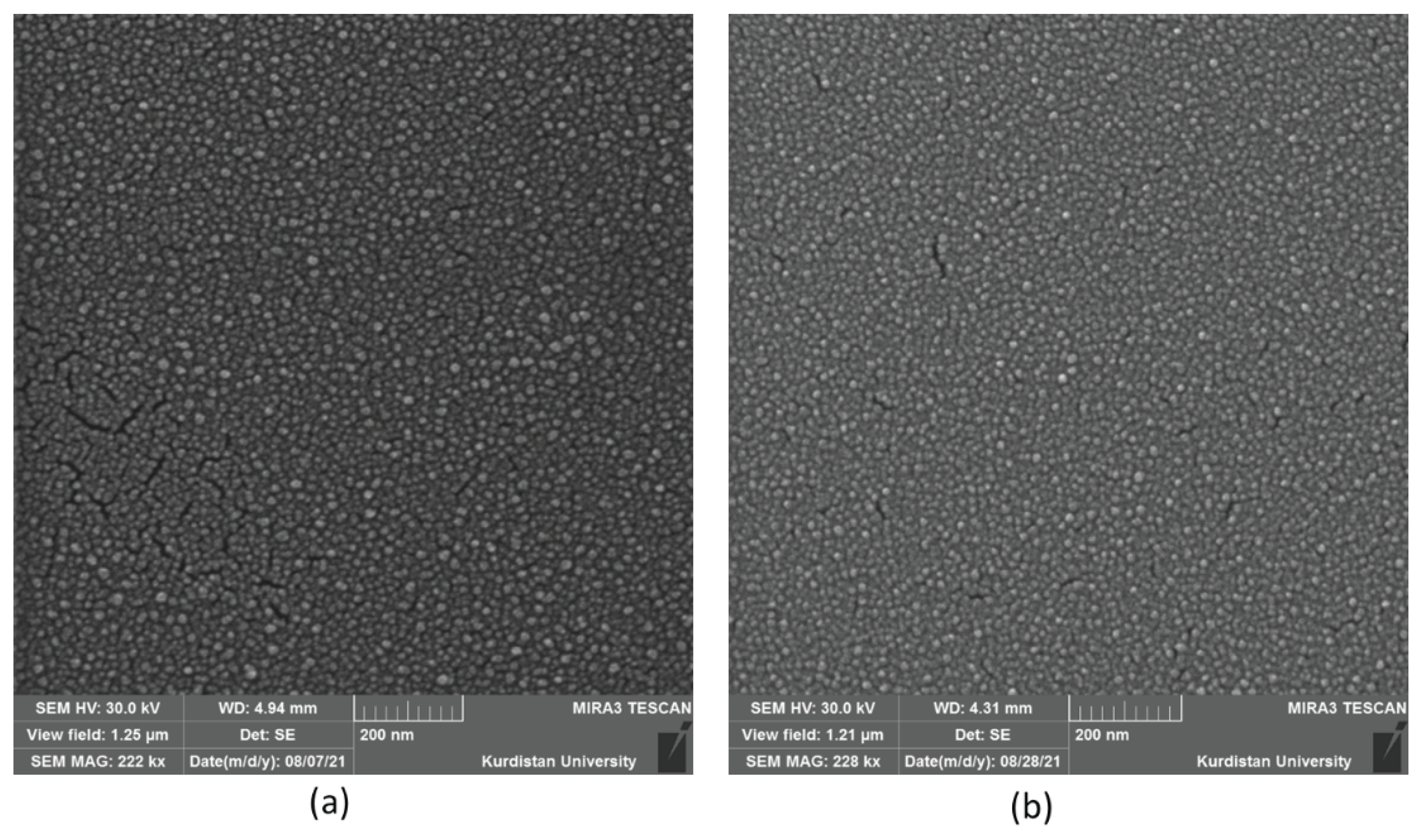 Preprints 102645 g006