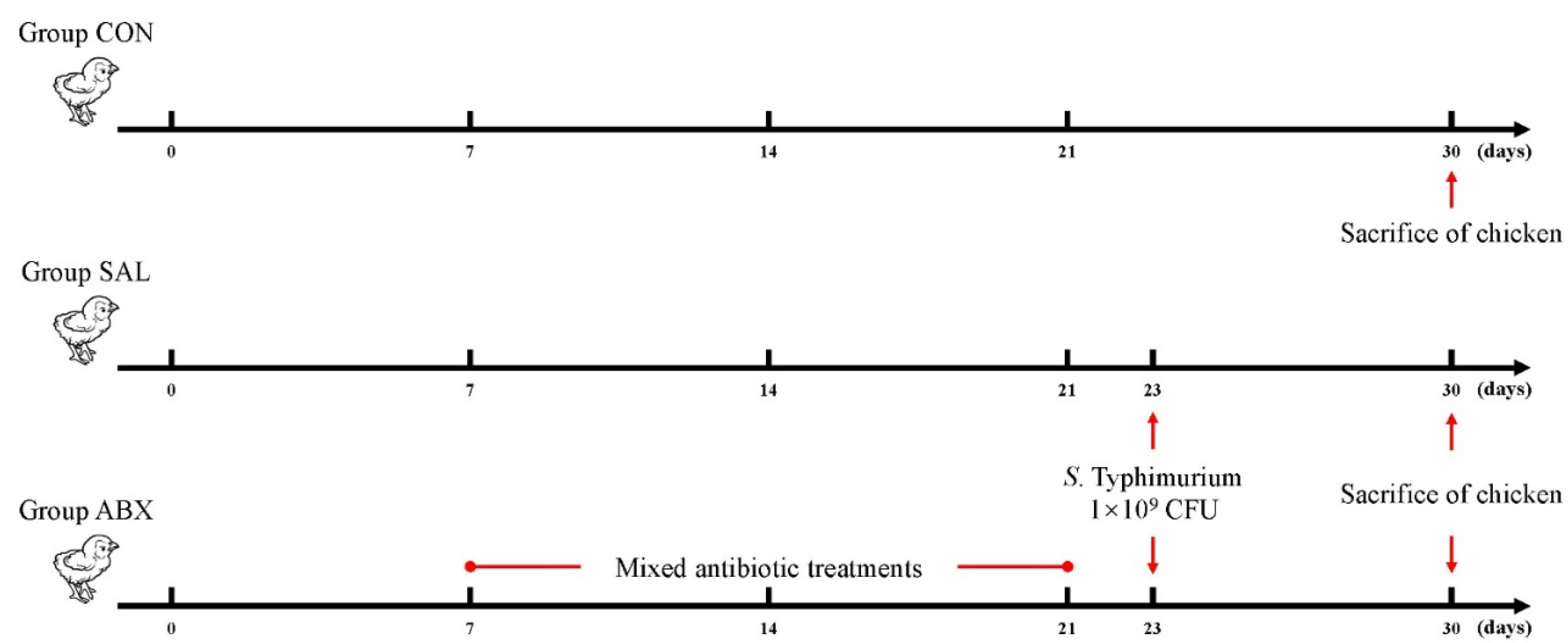 Preprints 104127 g001