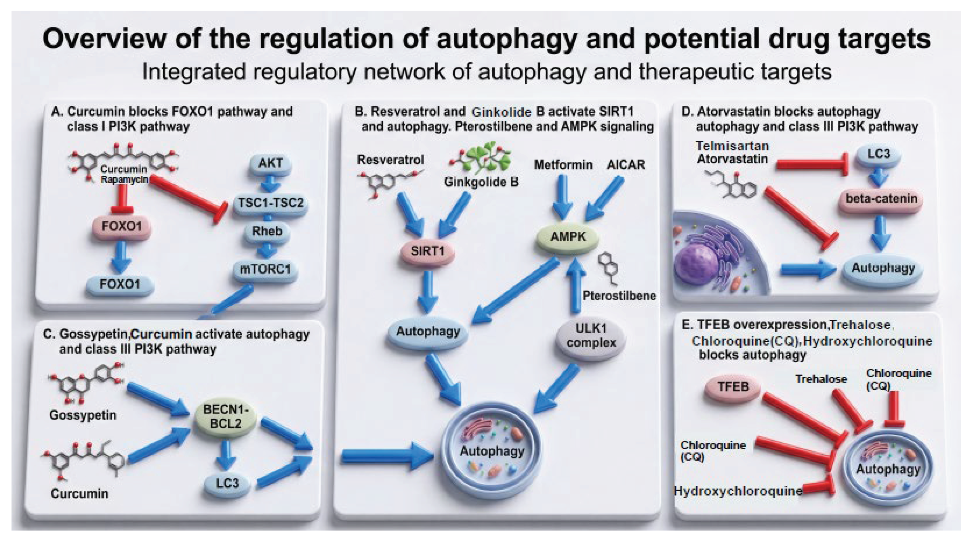 Preprints 208220 g003