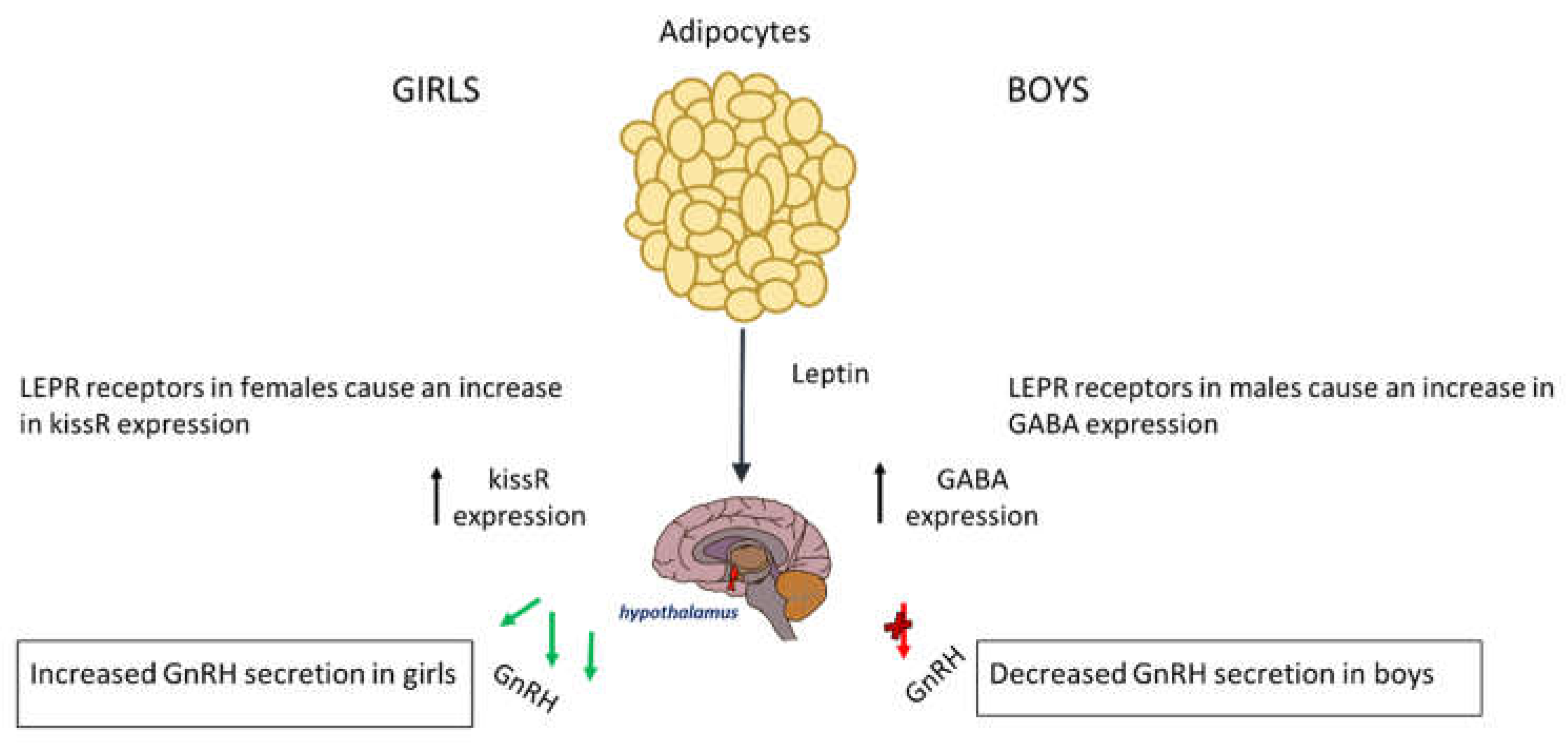 Preprints 156148 g001