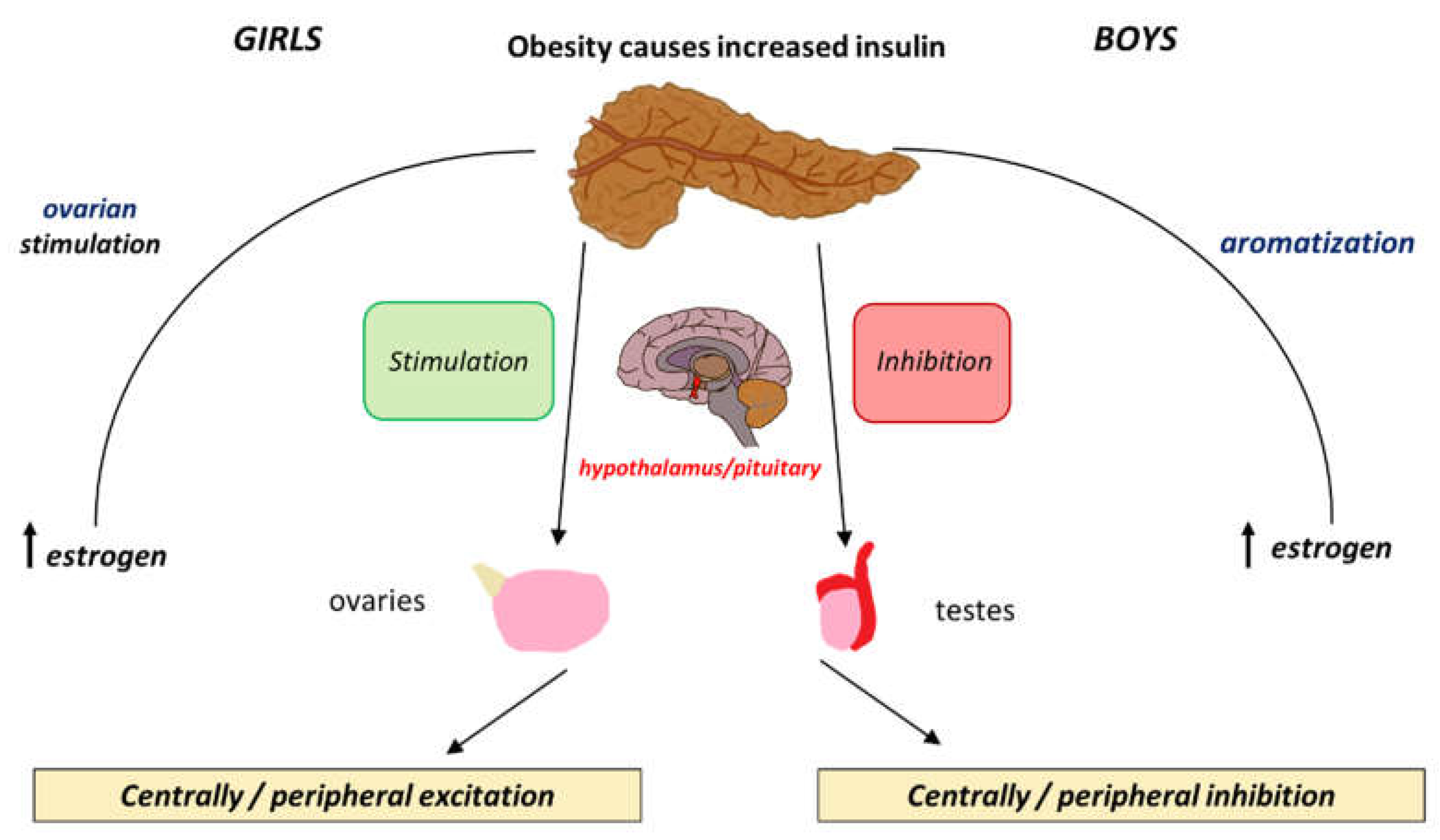Preprints 156148 g002