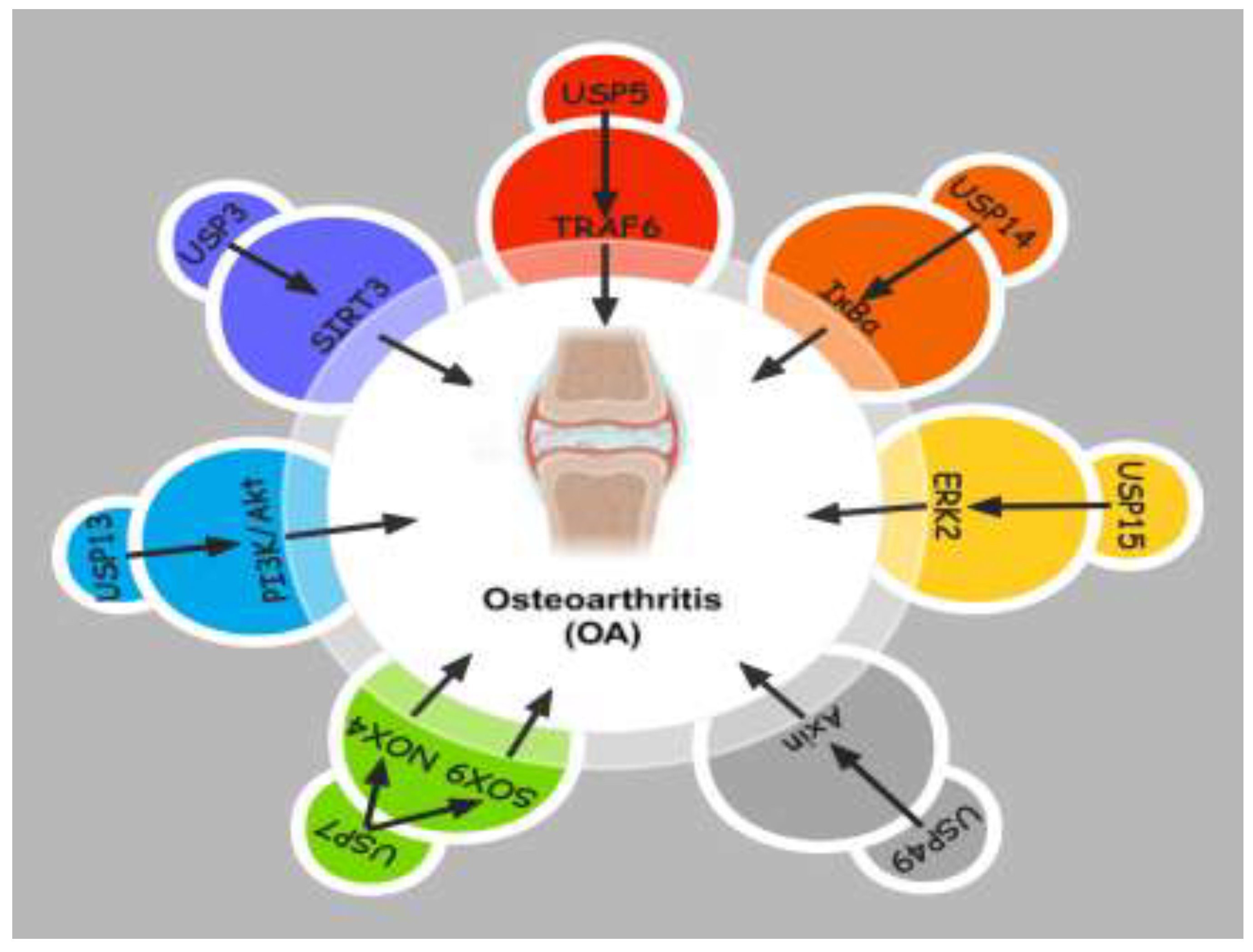 Preprints 146407 g001