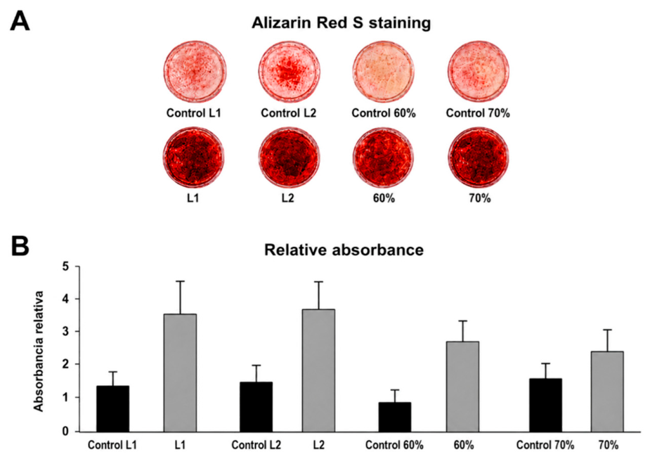 Preprints 223301 g011 Preprints 223301 g011
