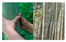 Preprints 203346 i007 Preprints 203346 i007