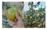 Preprints 203346 i020 Preprints 203346 i020