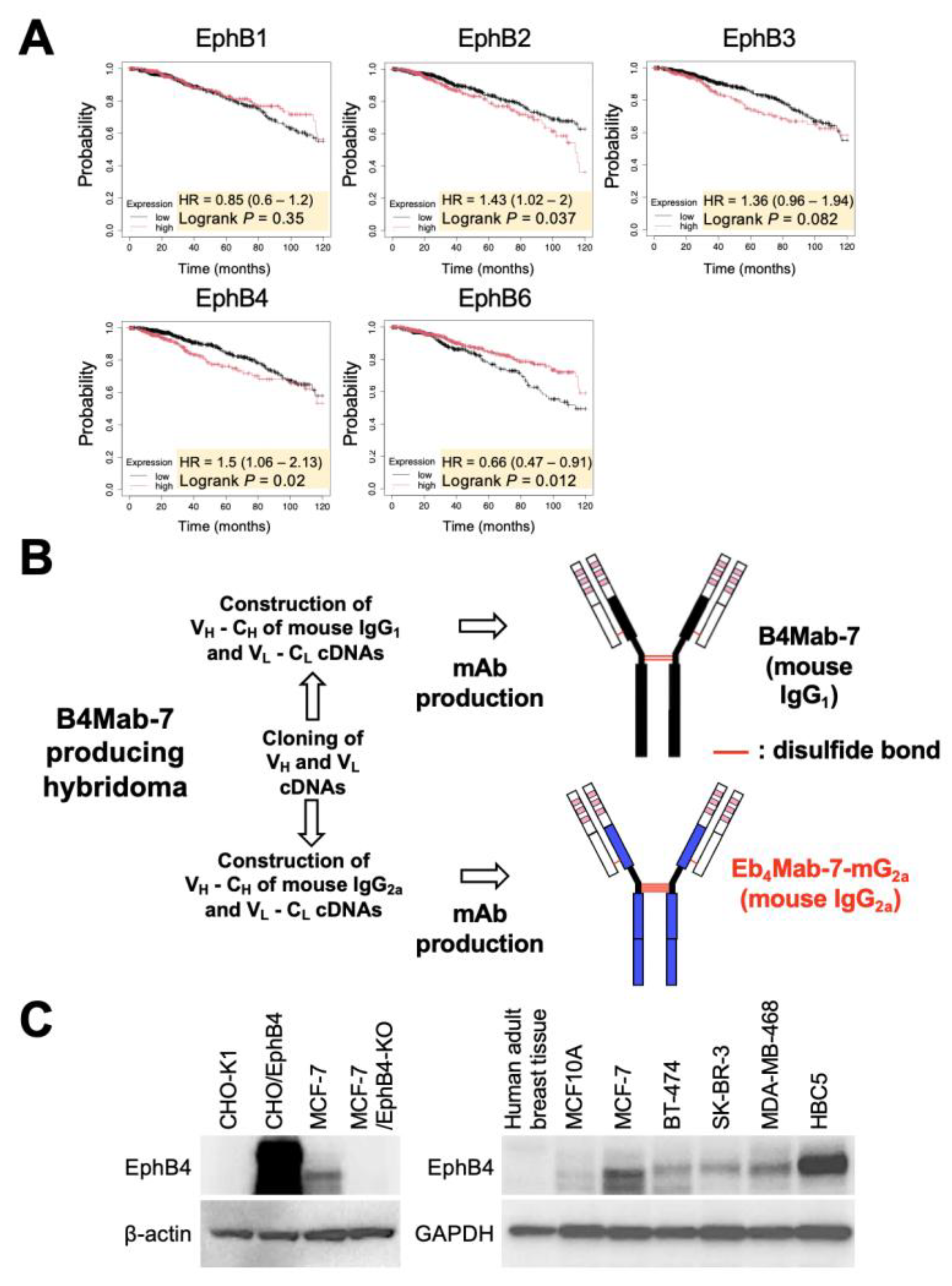 Preprints 165813 g001