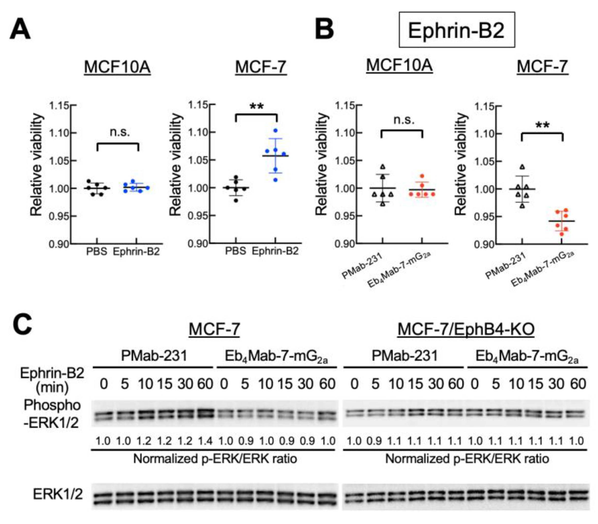 Preprints 165813 g002