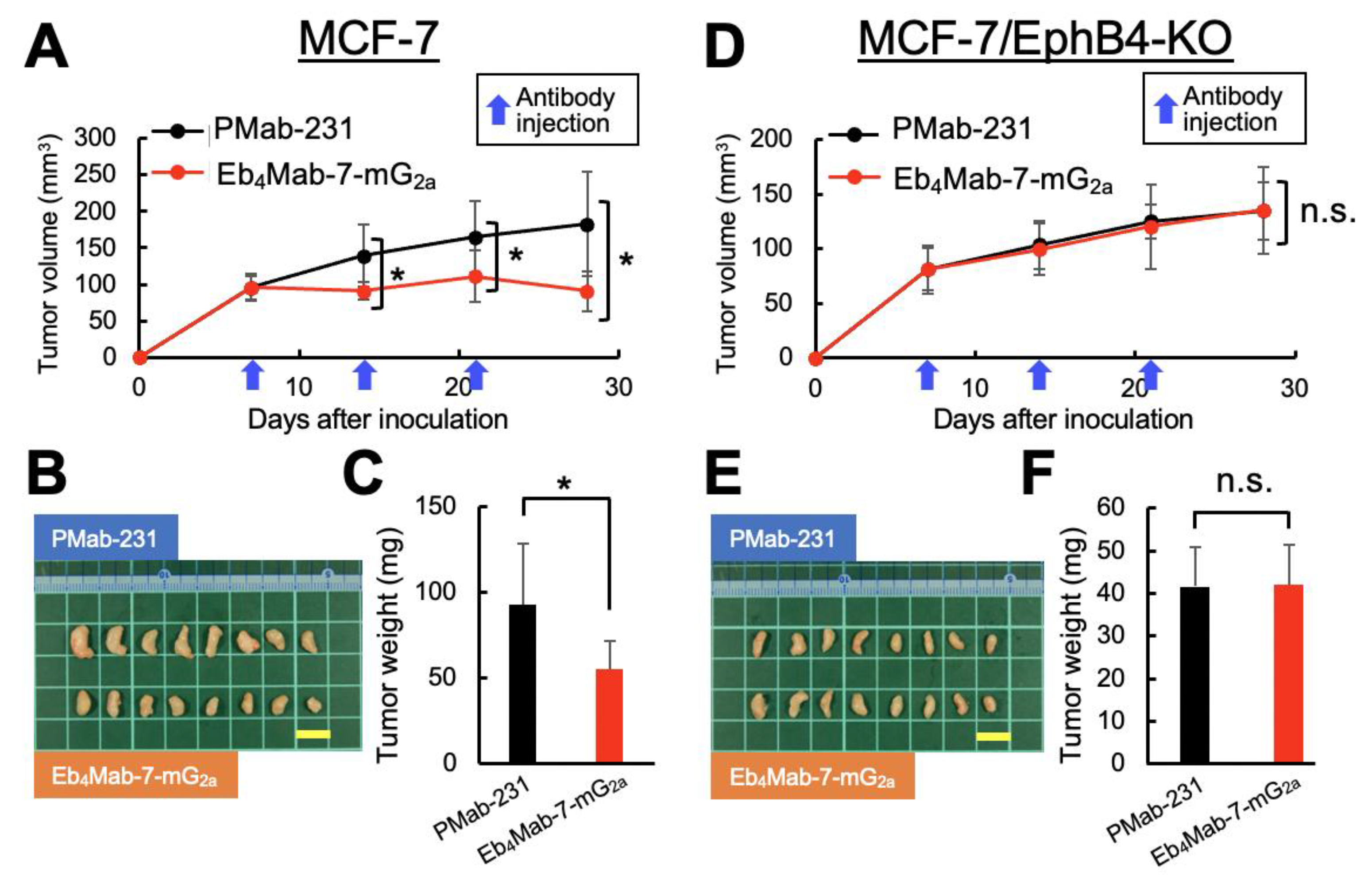Preprints 165813 g006