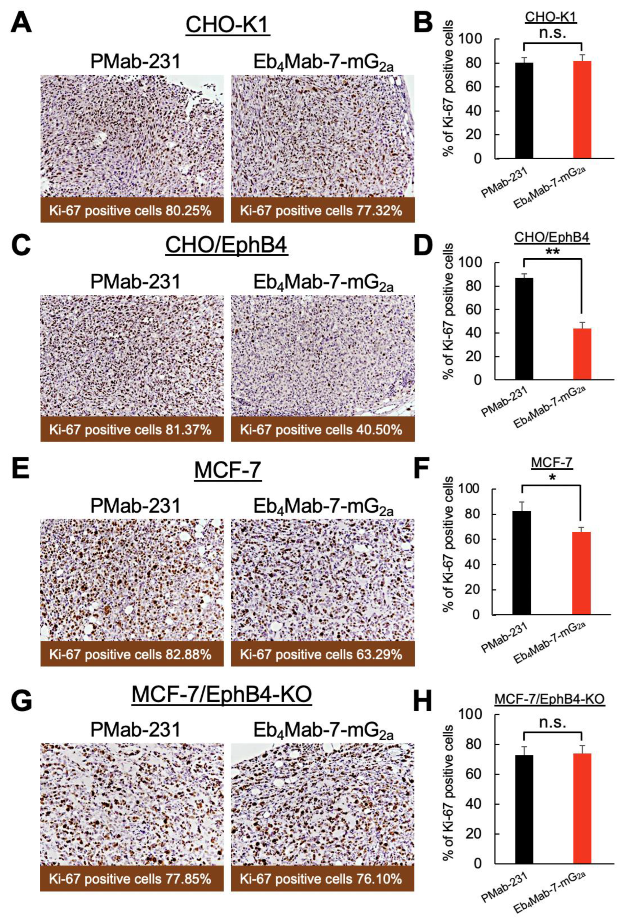 Preprints 165813 g007