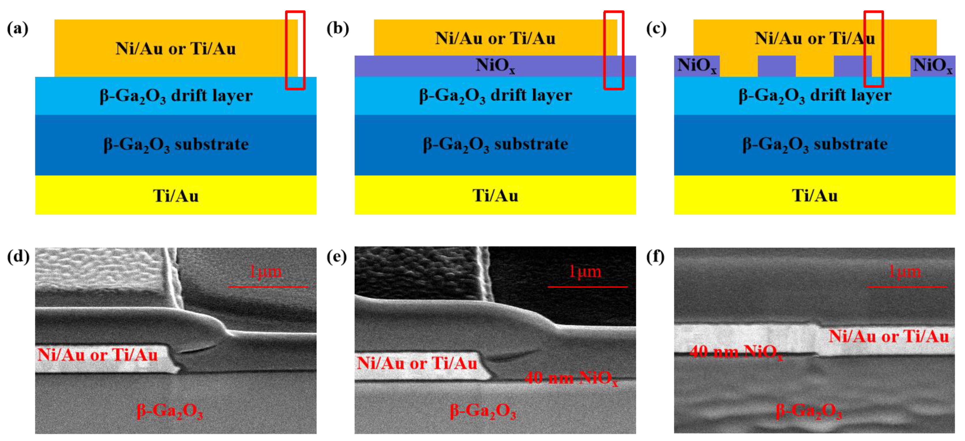 Preprints 121835 g002