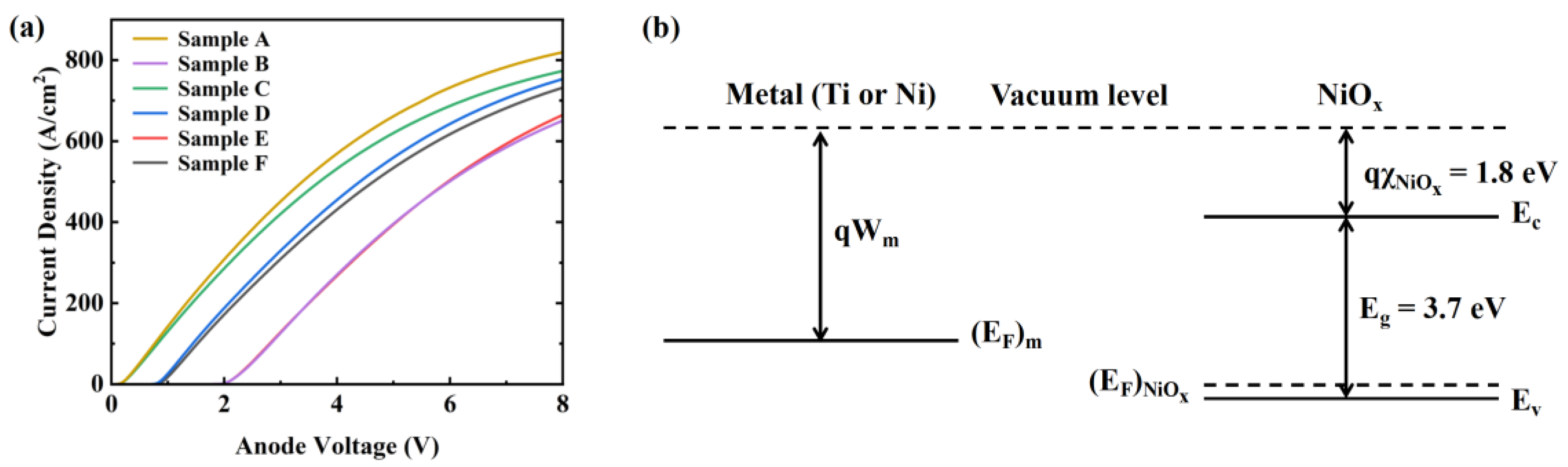 Preprints 121835 g003