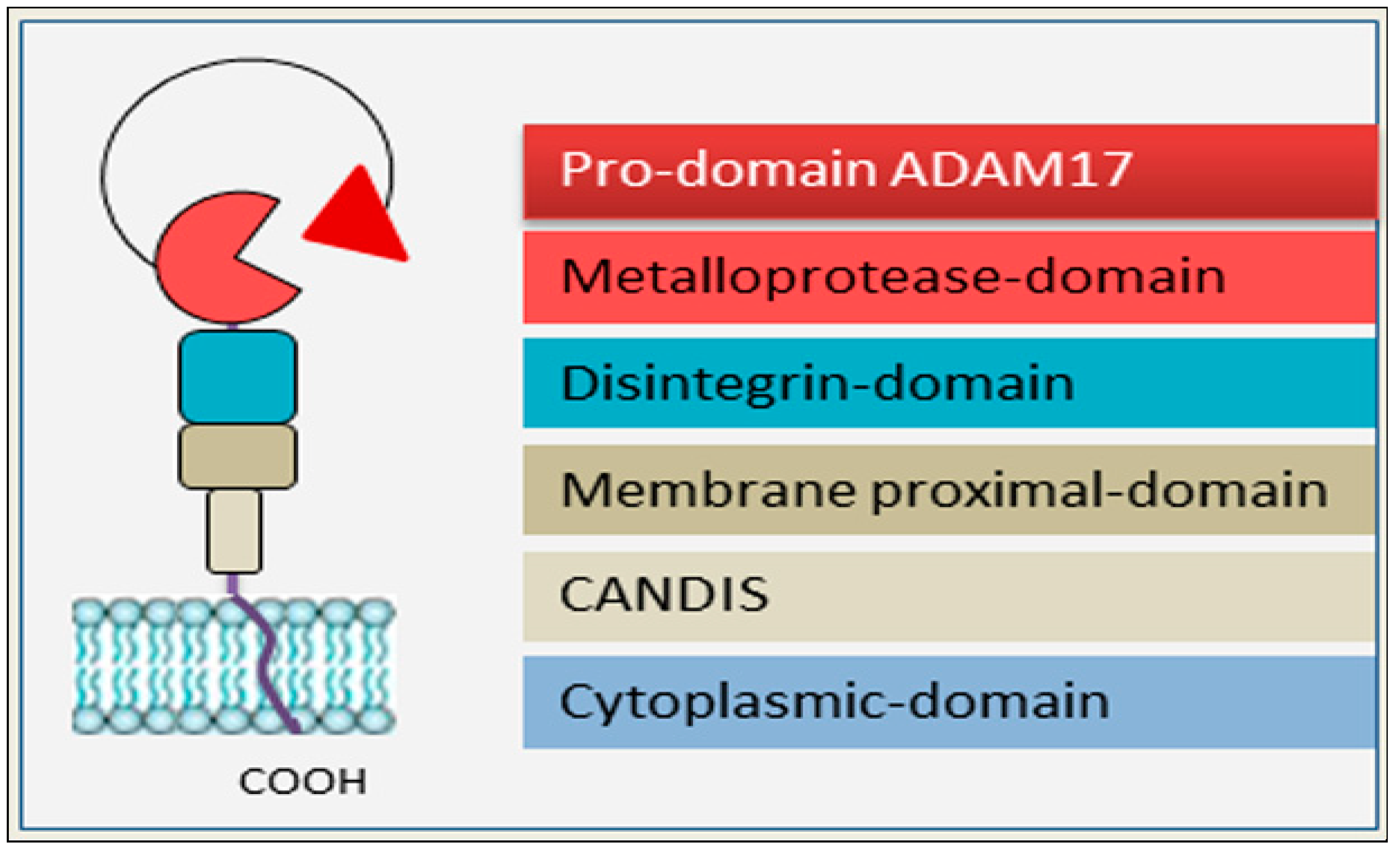 Preprints 139633 g001