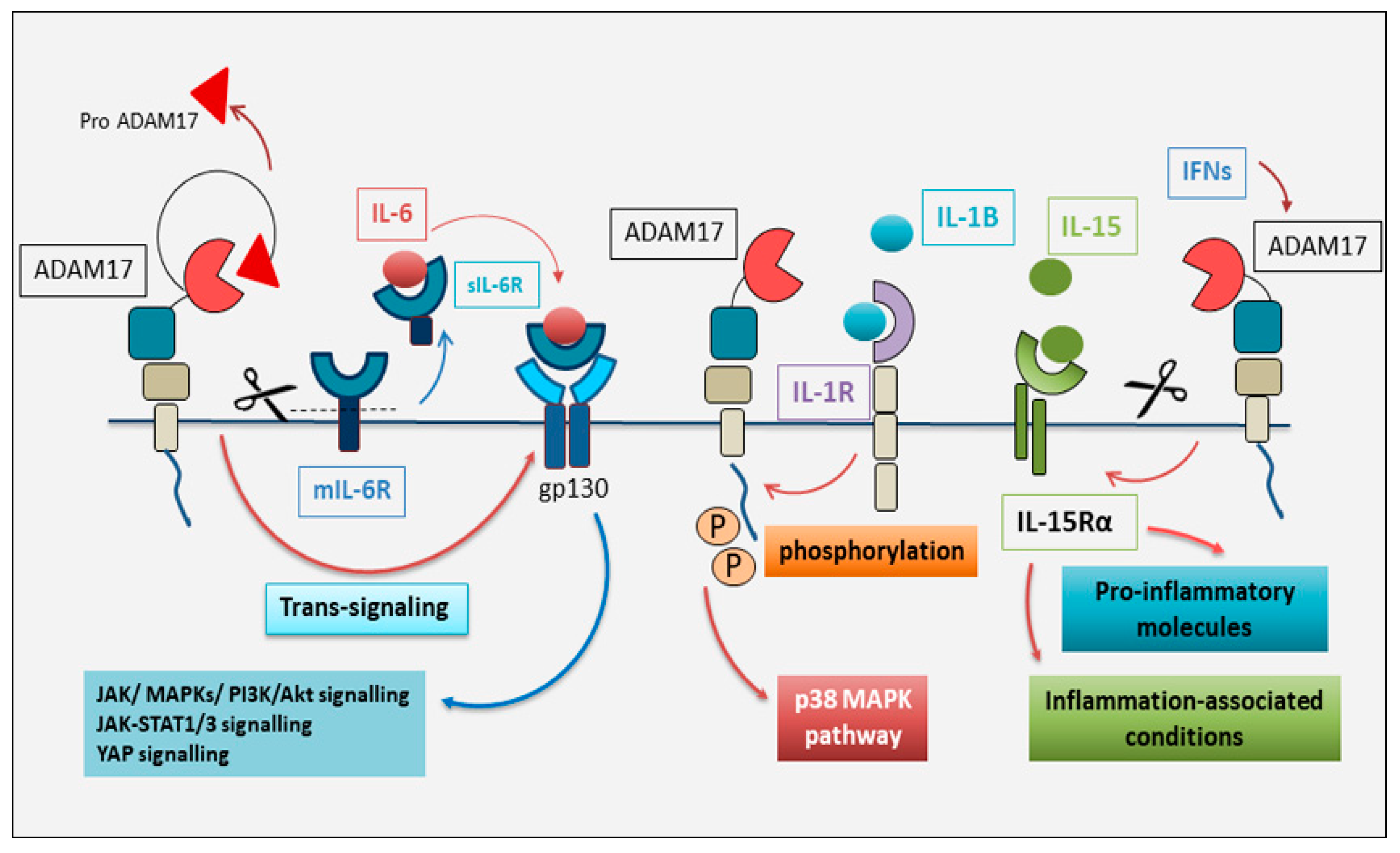 Preprints 139633 g002