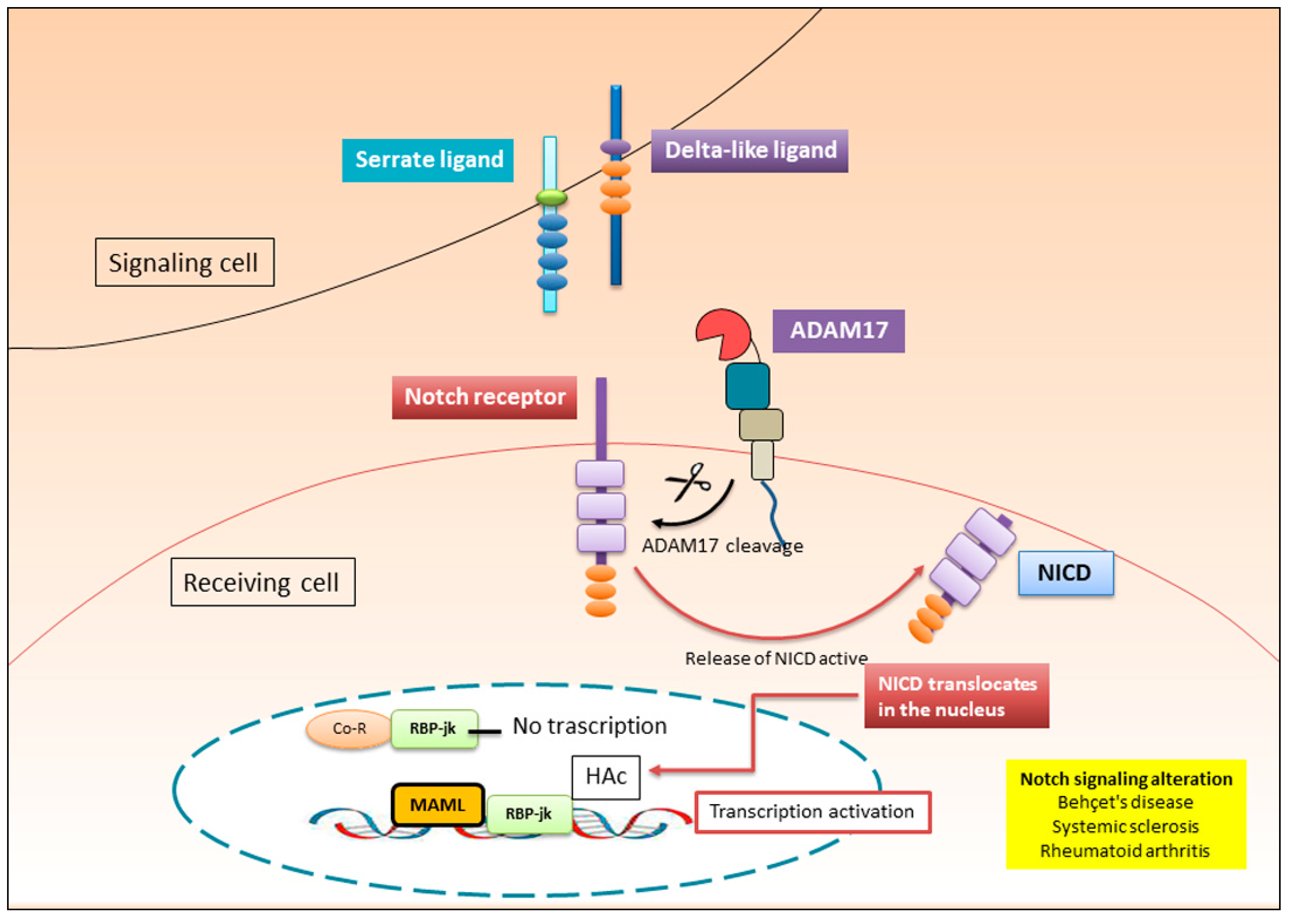 Preprints 139633 g003